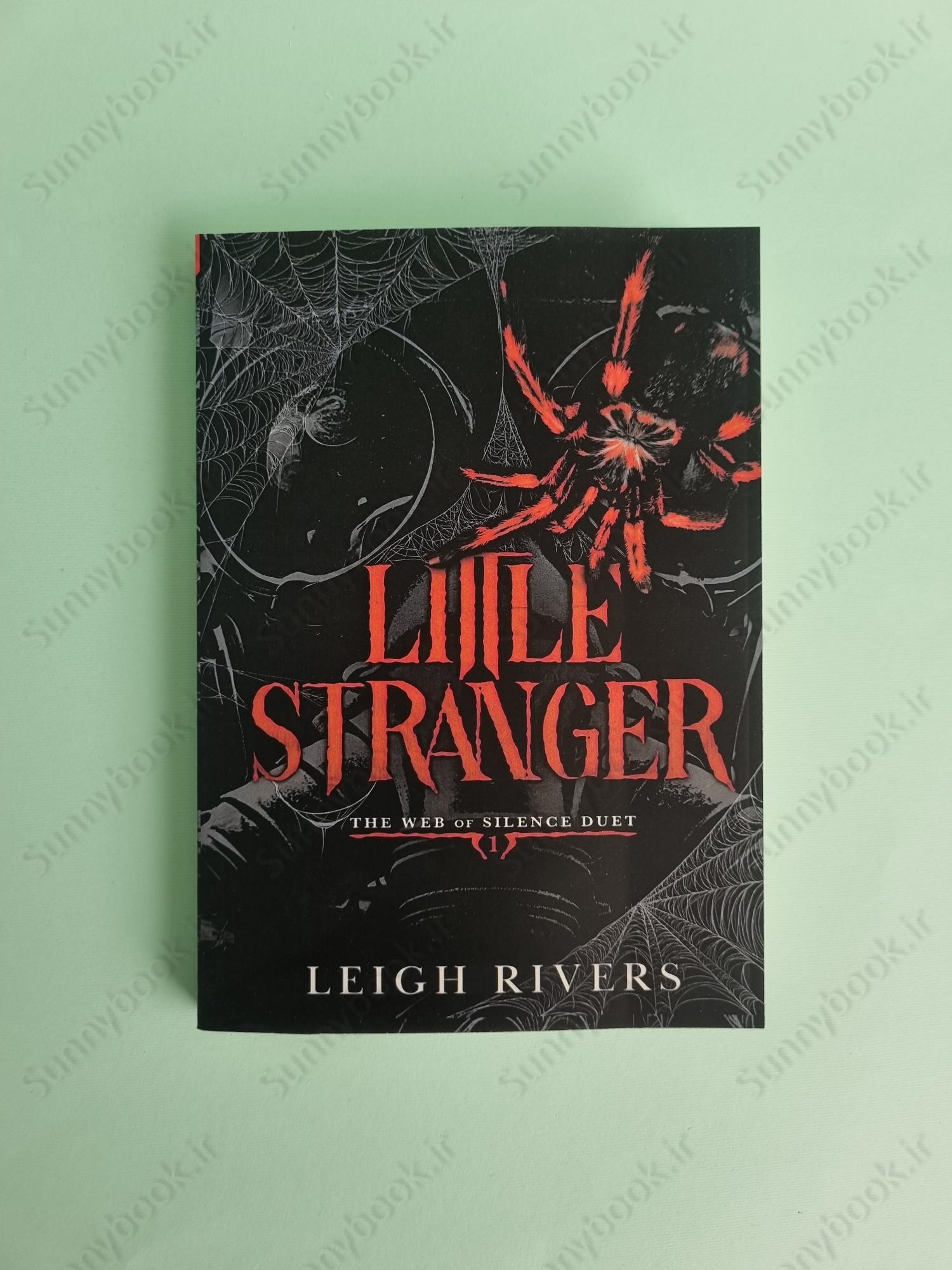 Little Stranger (The Web of Silence Duet 1) main 1 2