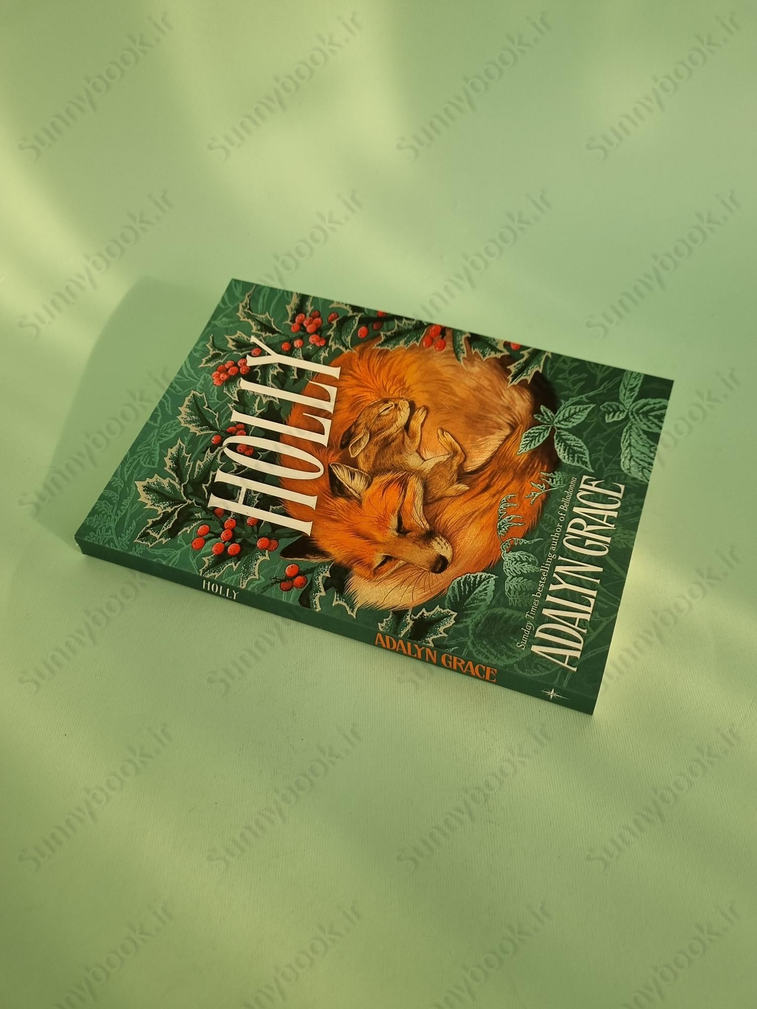 Holly: A Belladonna Novella main 1 3