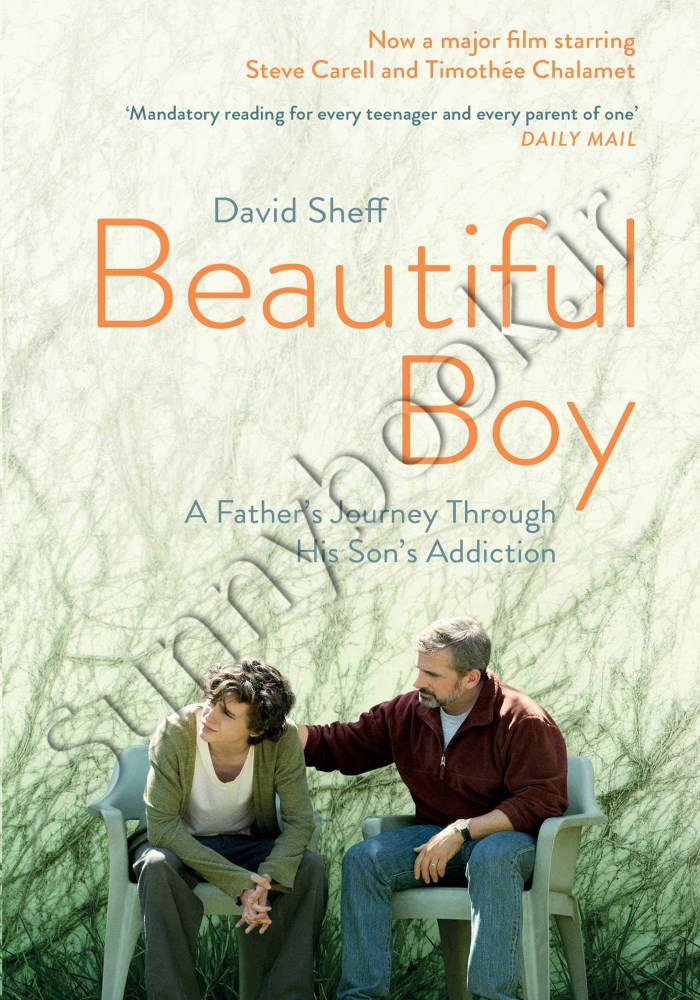 Beautiful Boy: A Father's Journey Through His Son's Addiction main 1 1