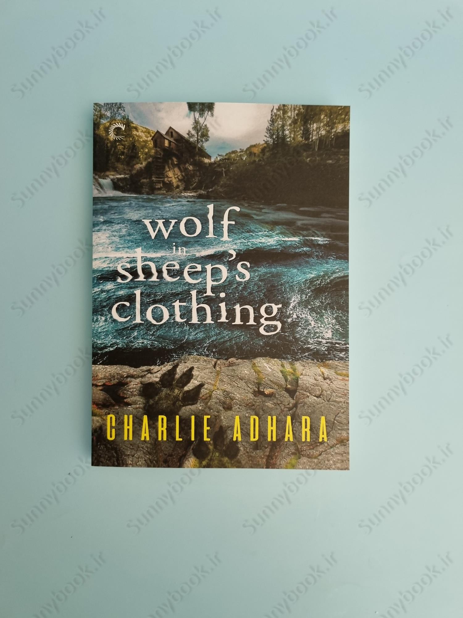 Wolf in Sheep's Clothing (Big Bad Wolf 4) main 1 2