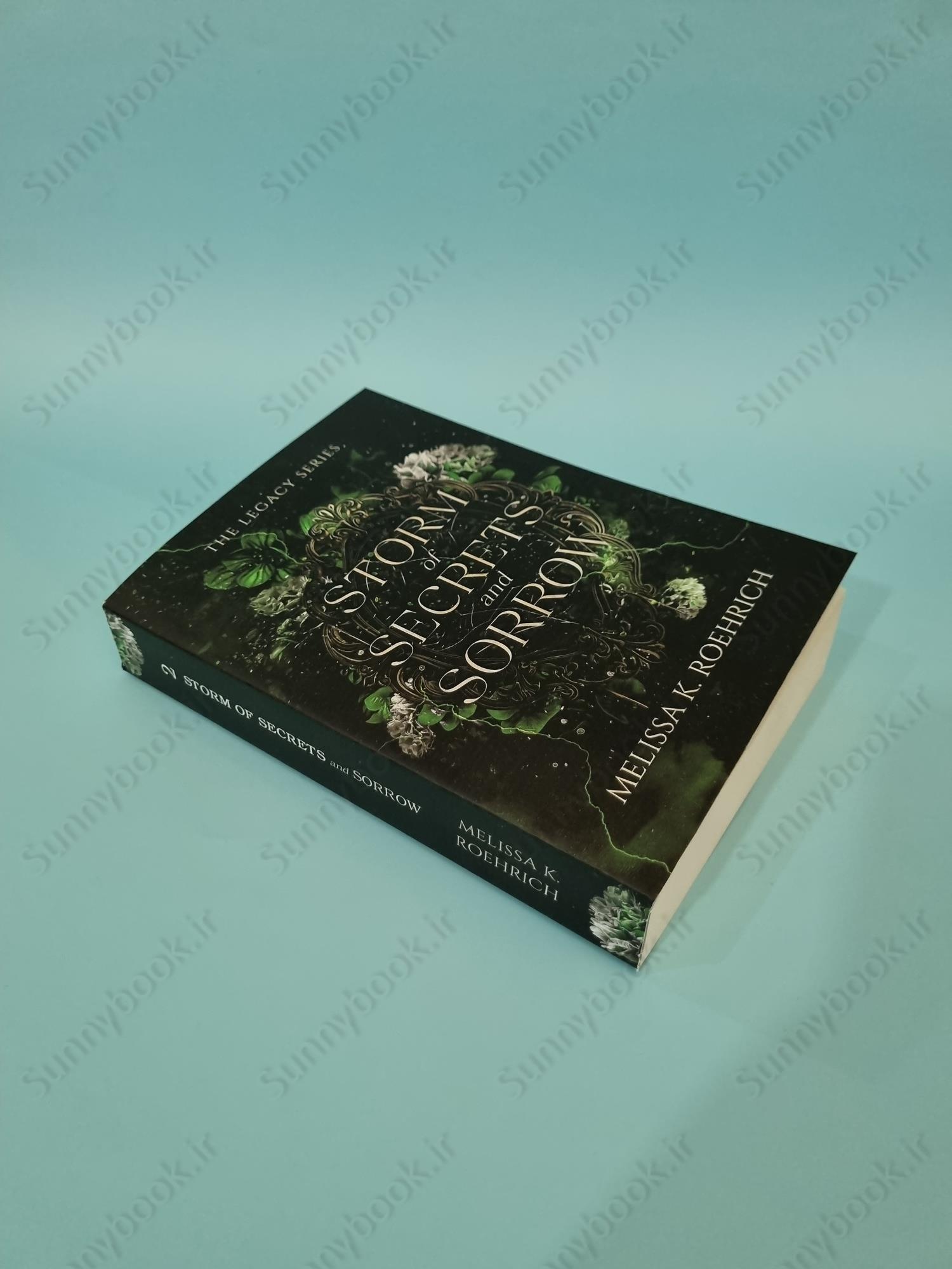 Storm of Secrets and Sorrow (Legacy 2) main 1 3