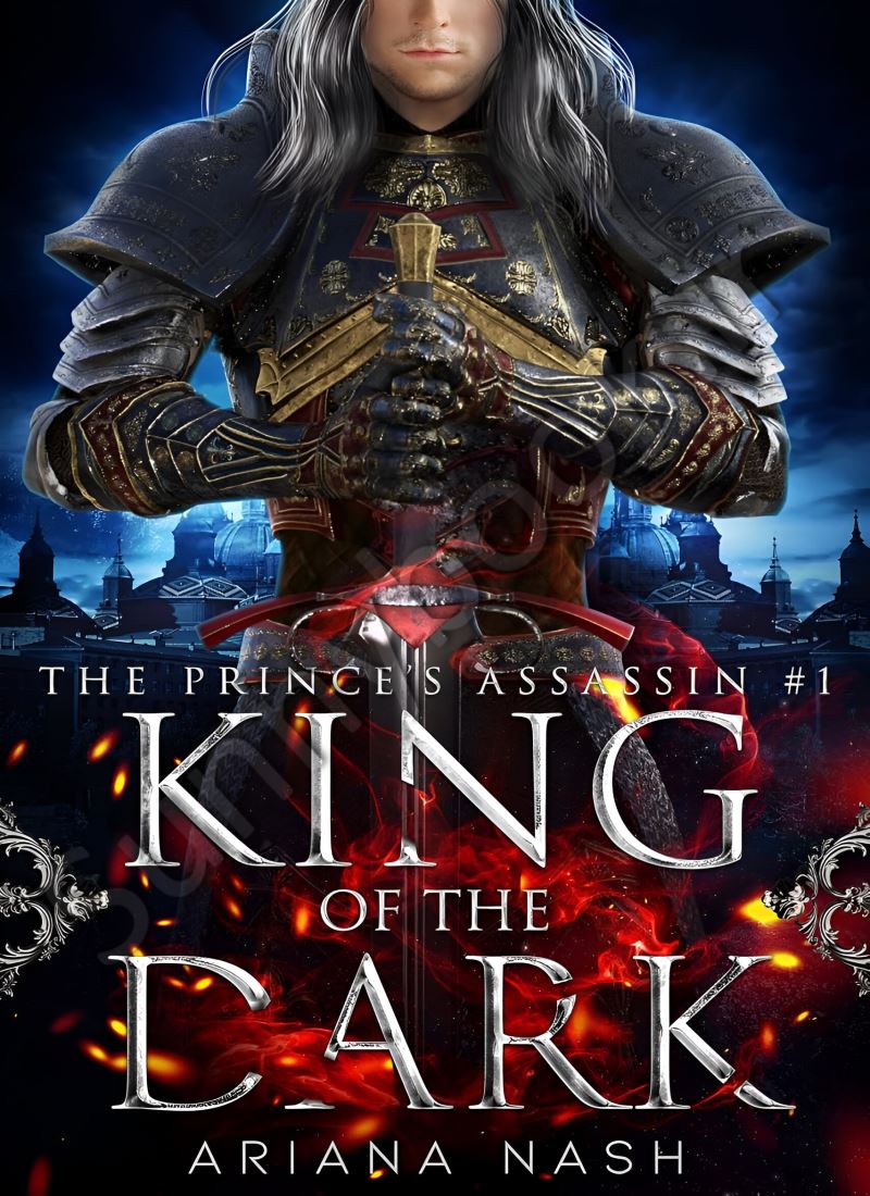 King of the Dark (Prince's Assassin 1) main 1 1