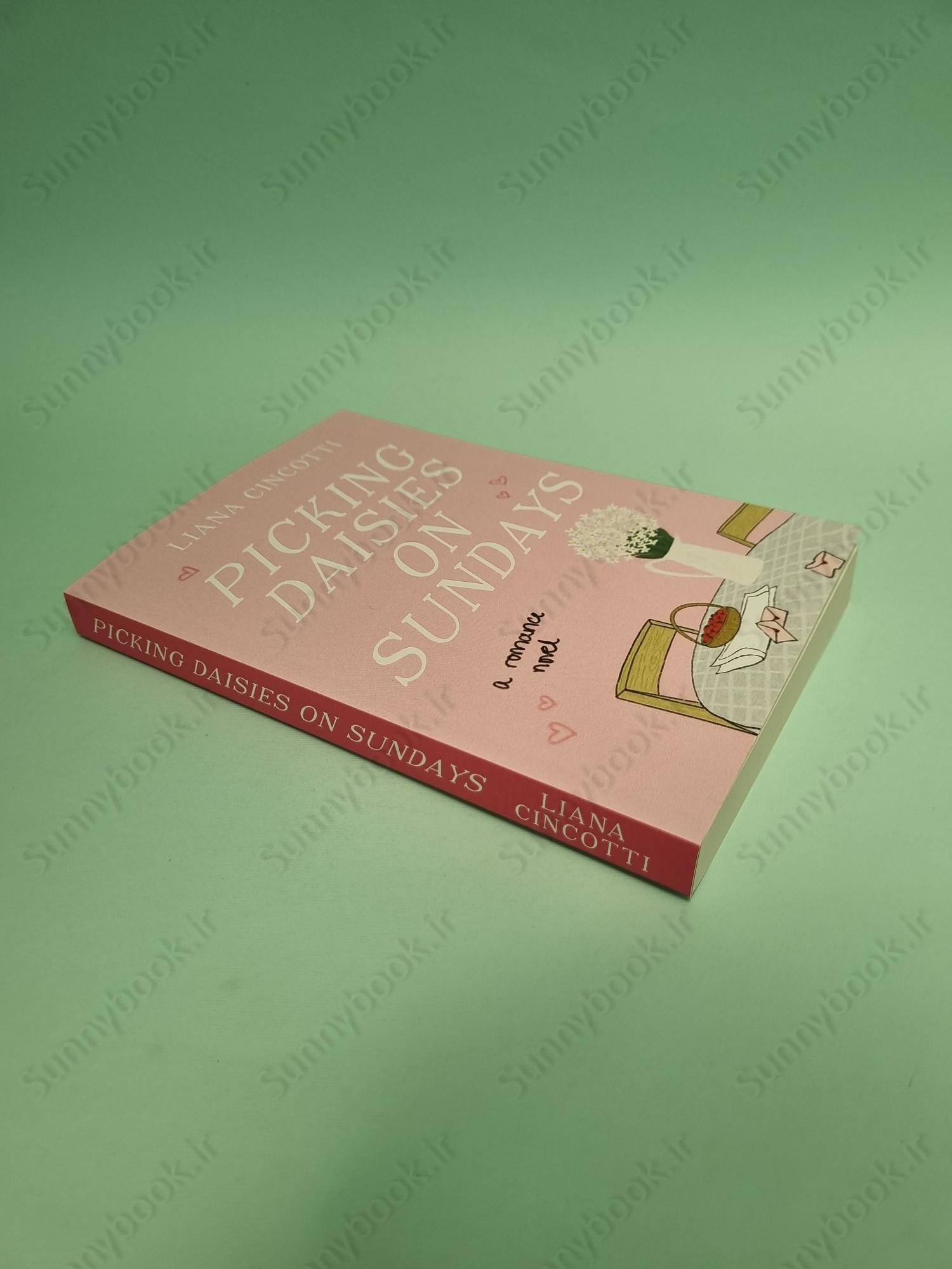 Picking Daisies on Sundays main 1 3