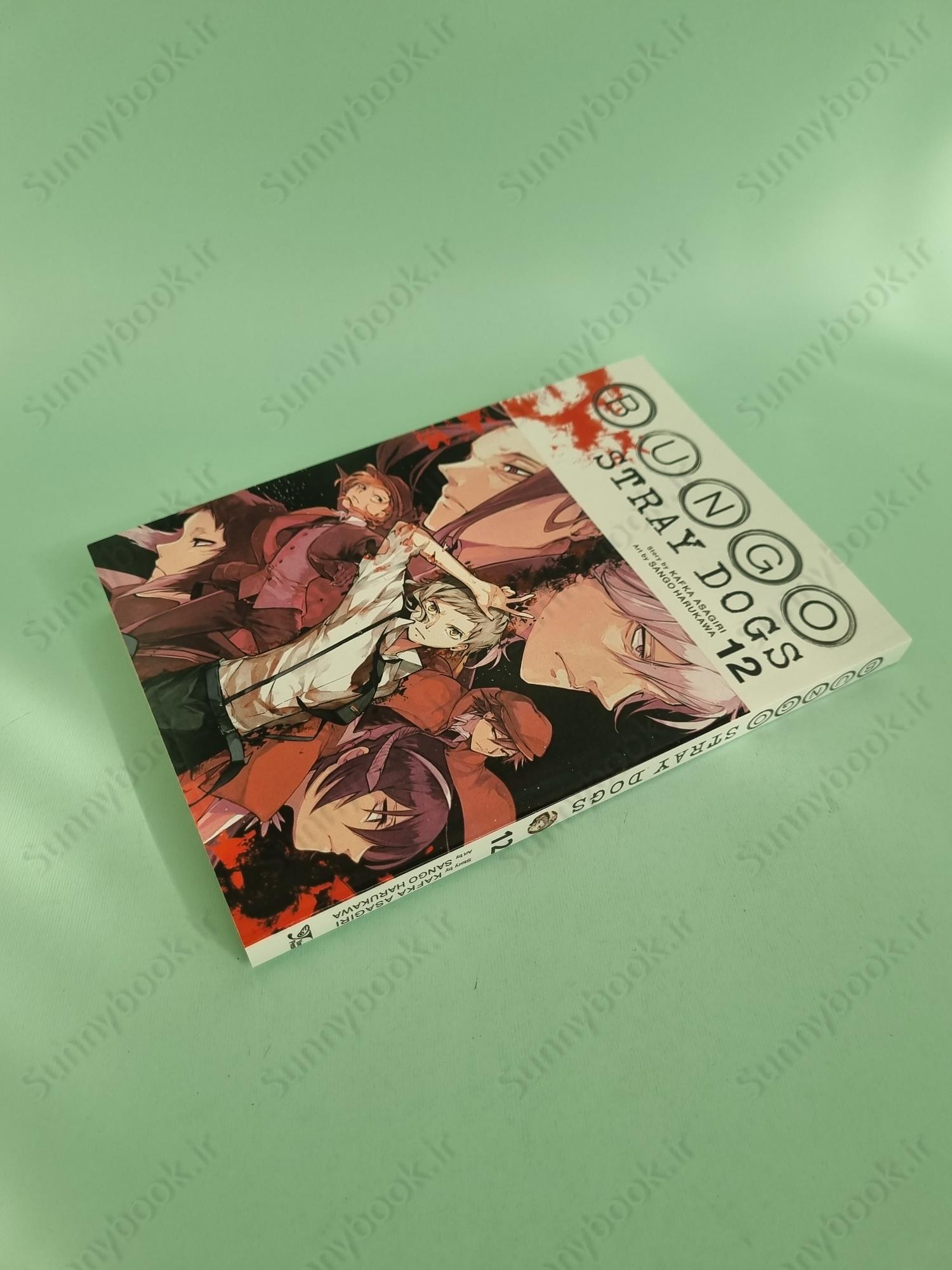 Bungo Stray Dogs 12 main 1 3