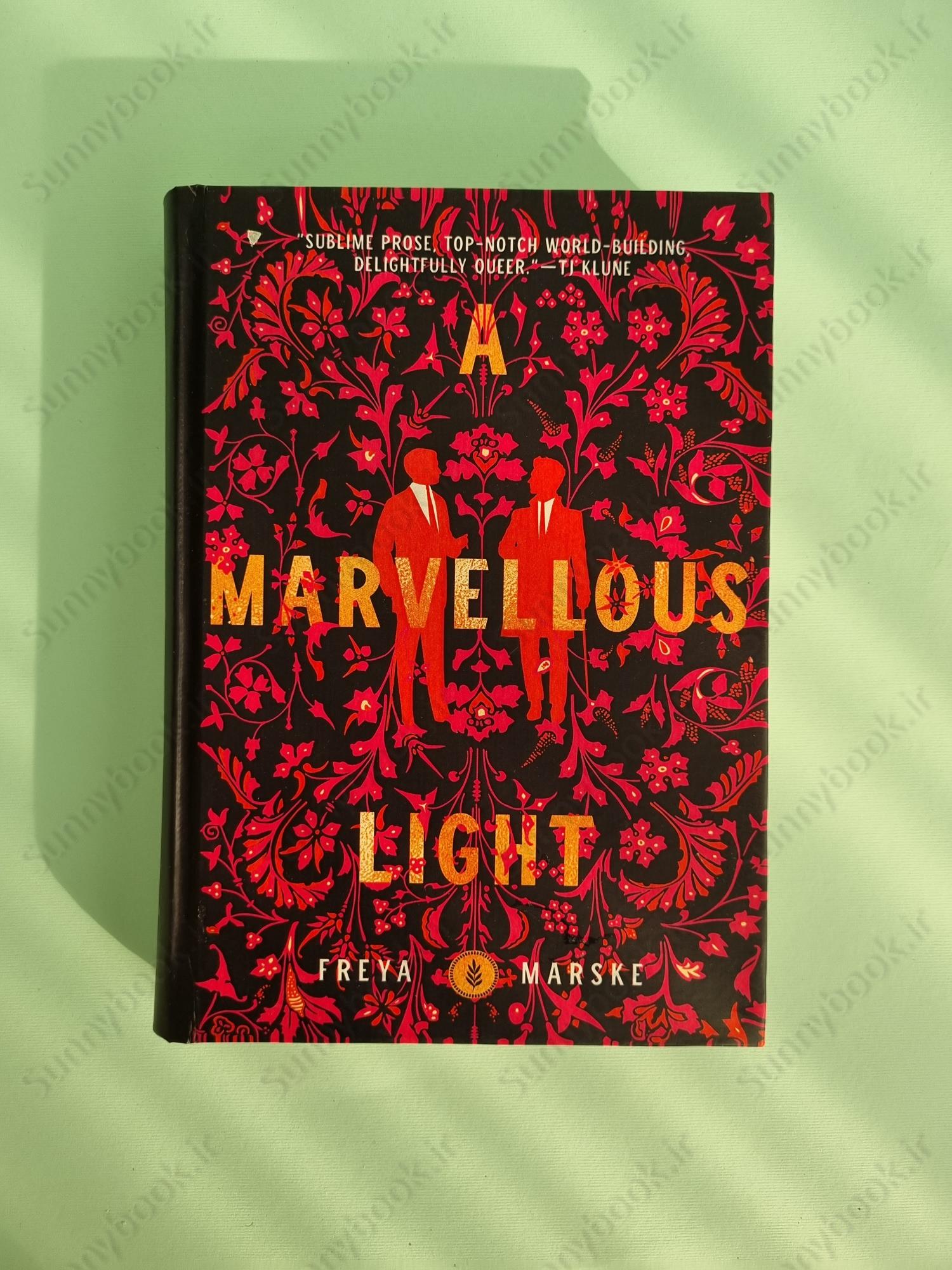 A Marvellous Light (The Last Binding 1) main 1 2