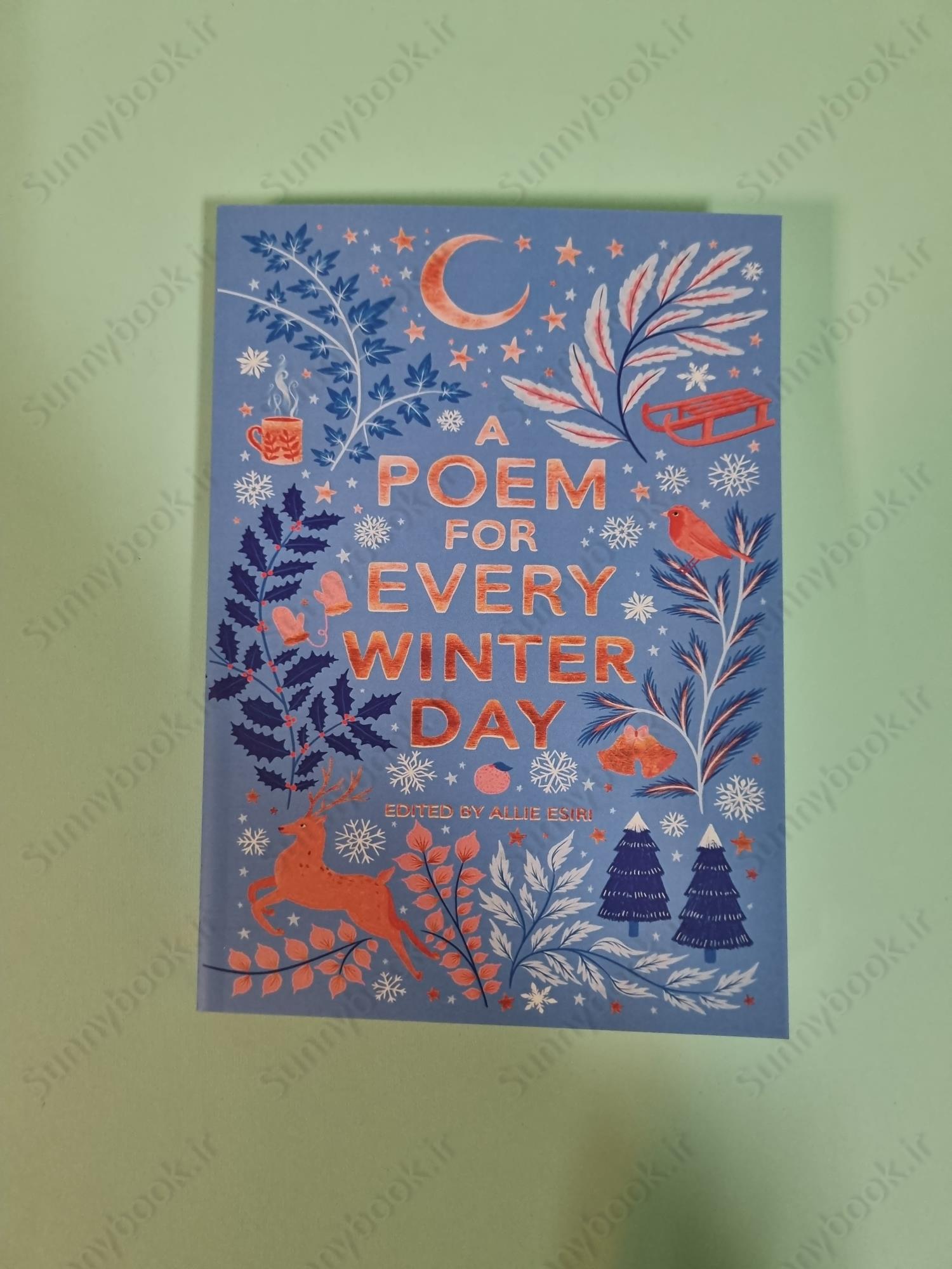 A Poem for Every Winter Day main 1 2