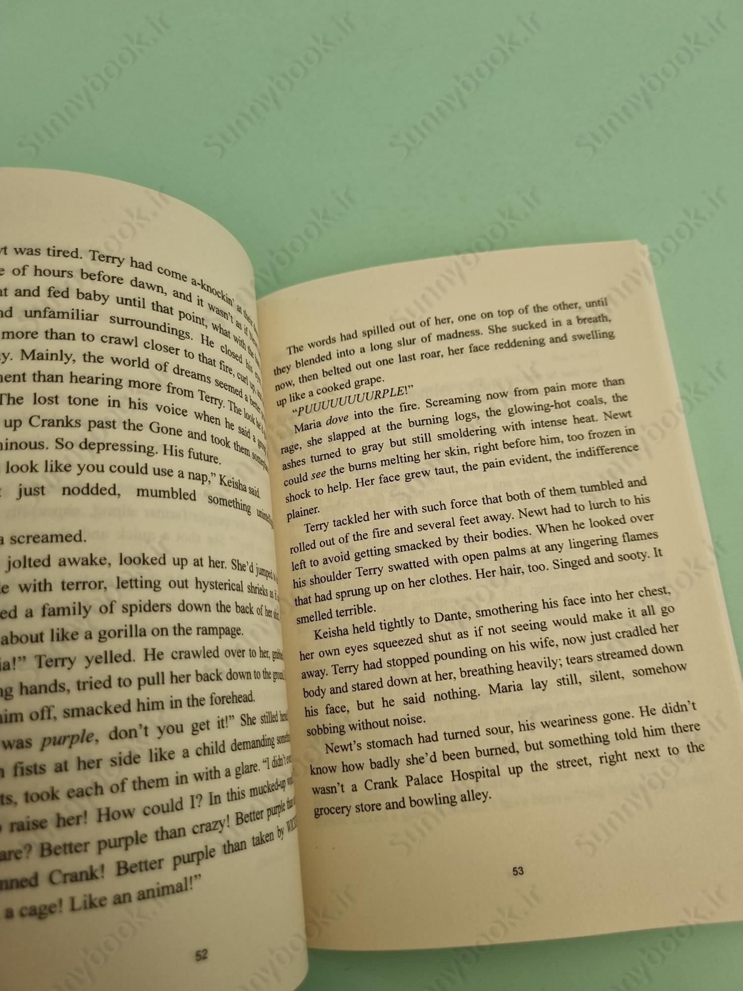 Crank Palace (3.5) A Maze Runner Novella main 1 5