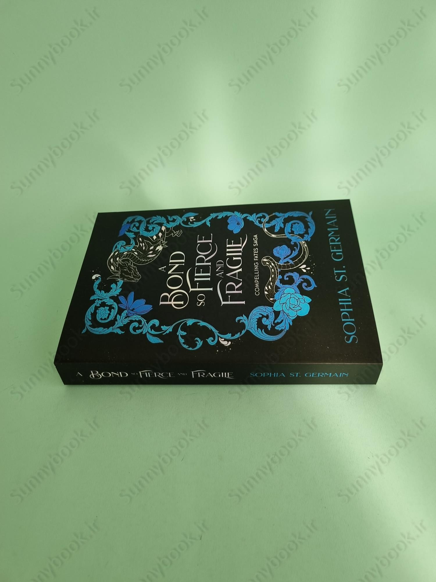 A Bond so Fierce and Fragile (Compelling Fates Saga 3) main 1 4