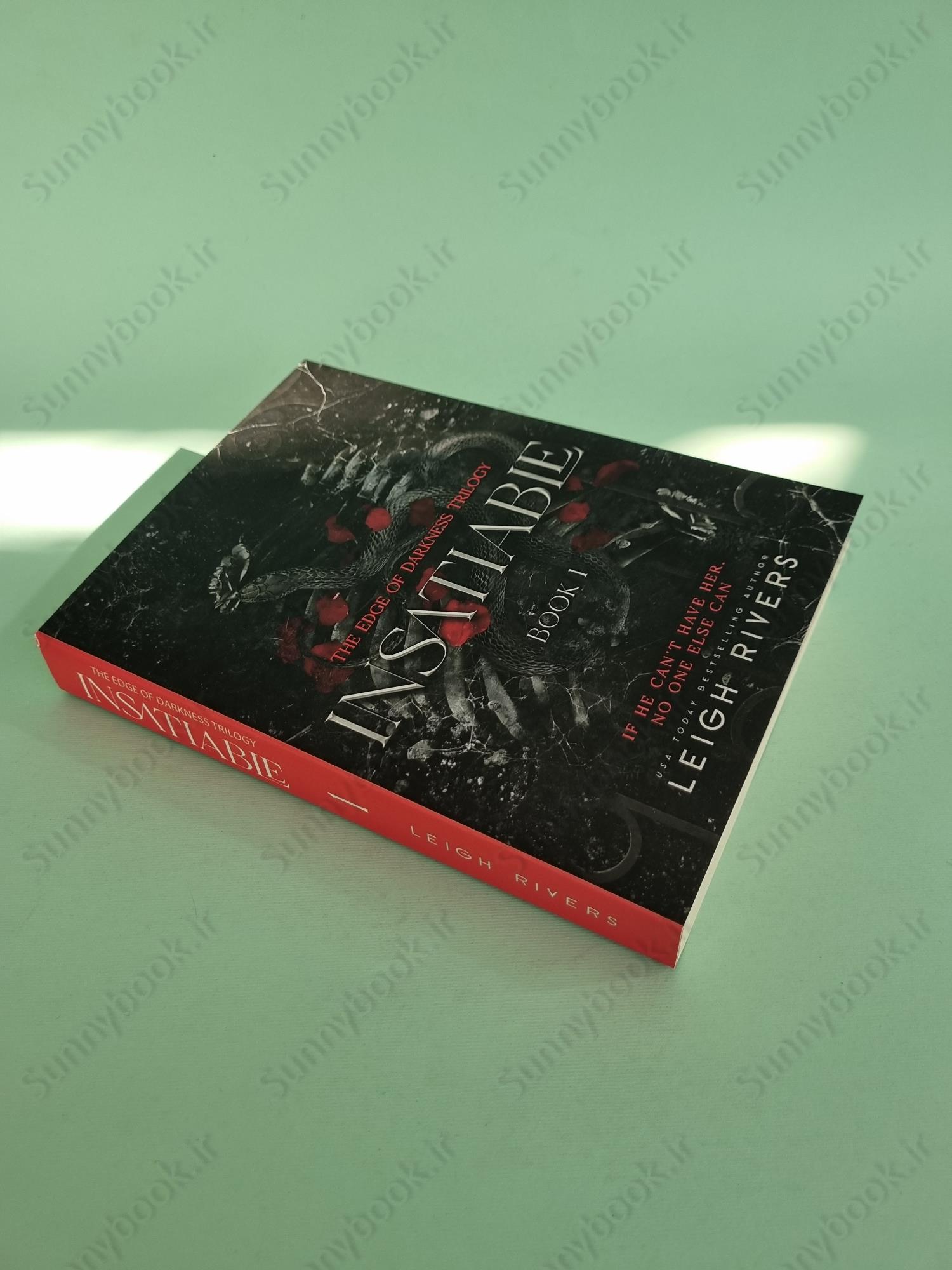 Insatiable (The Edge of Darkness 1) main 1 3