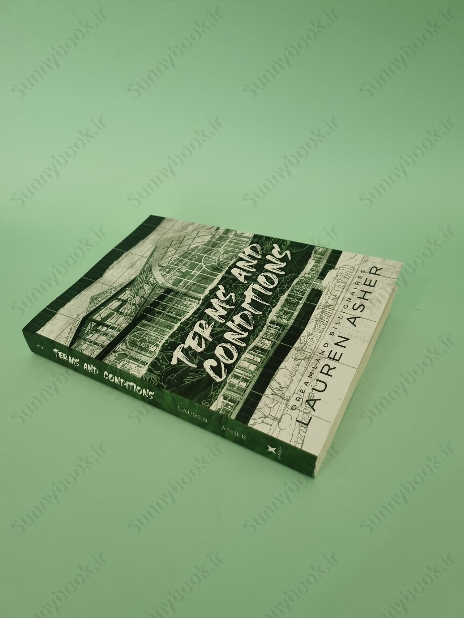 Terms and Conditions (Dreamland Billionaires 2) main 1 3