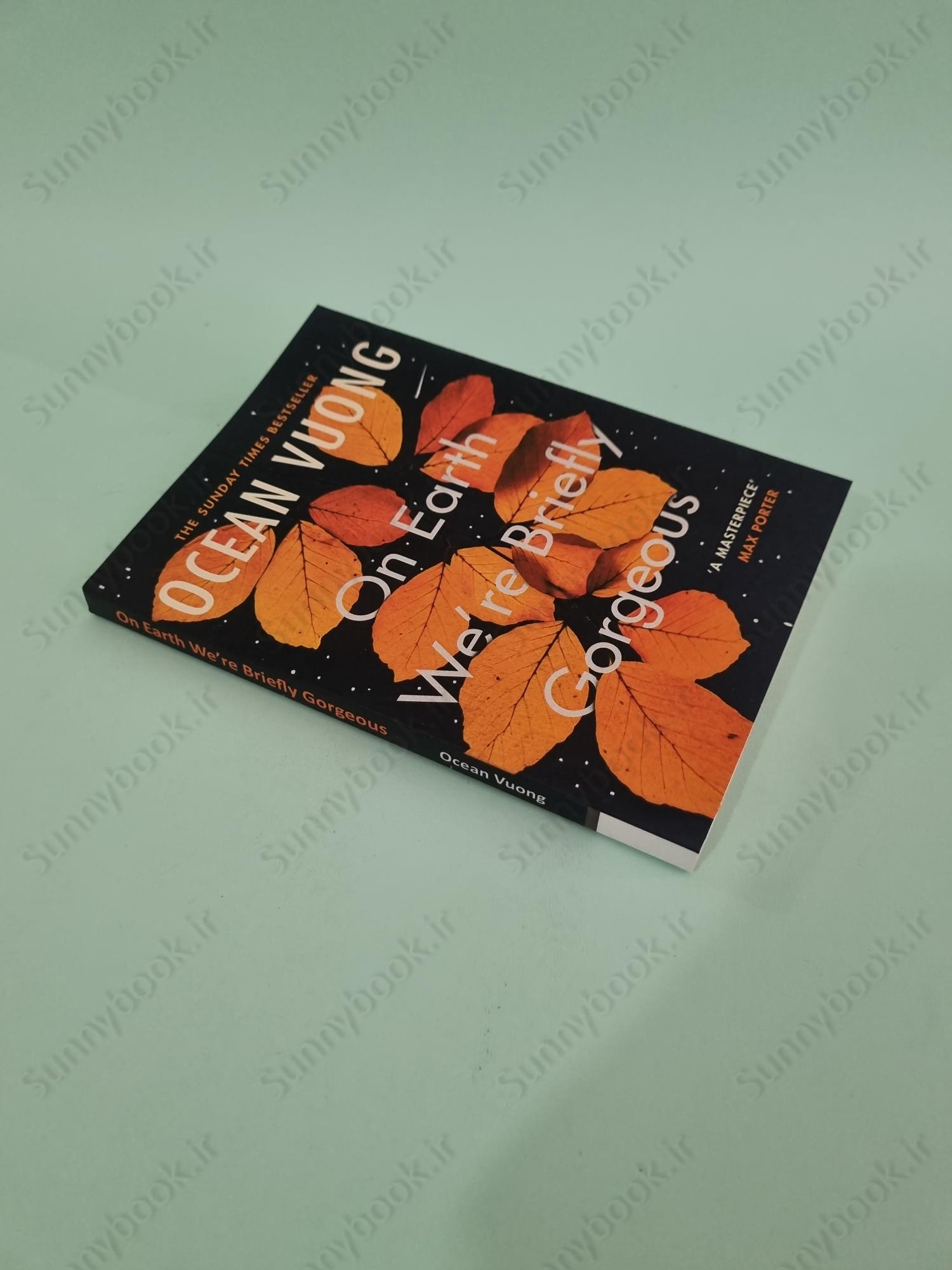 On Earth We're Briefly Gorgeous main 1 3