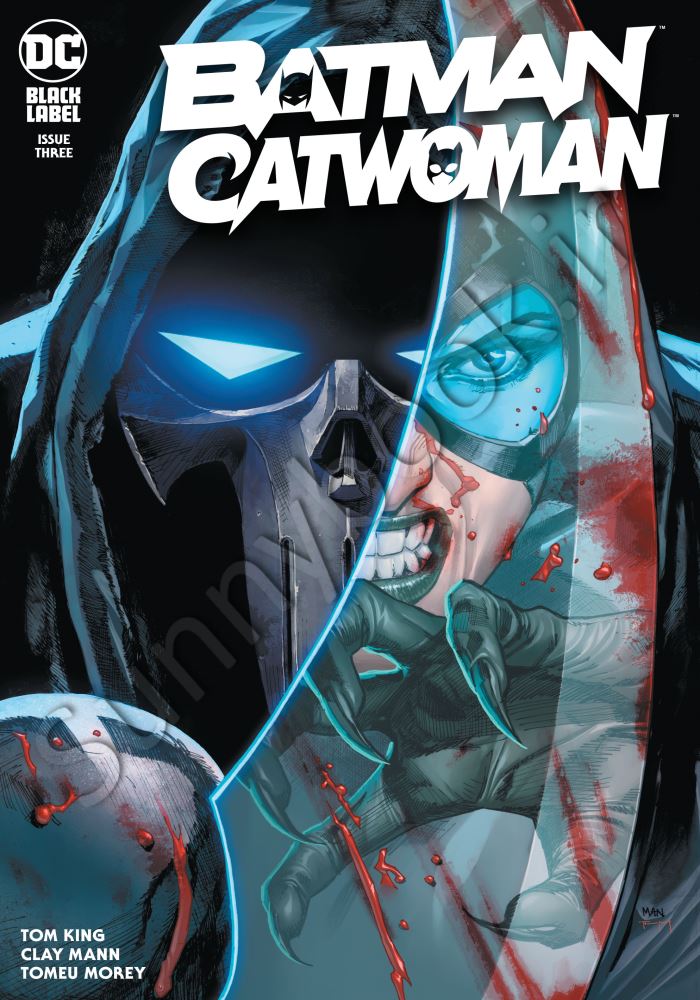 Batman Catwoman (2020) #3 main 1 1