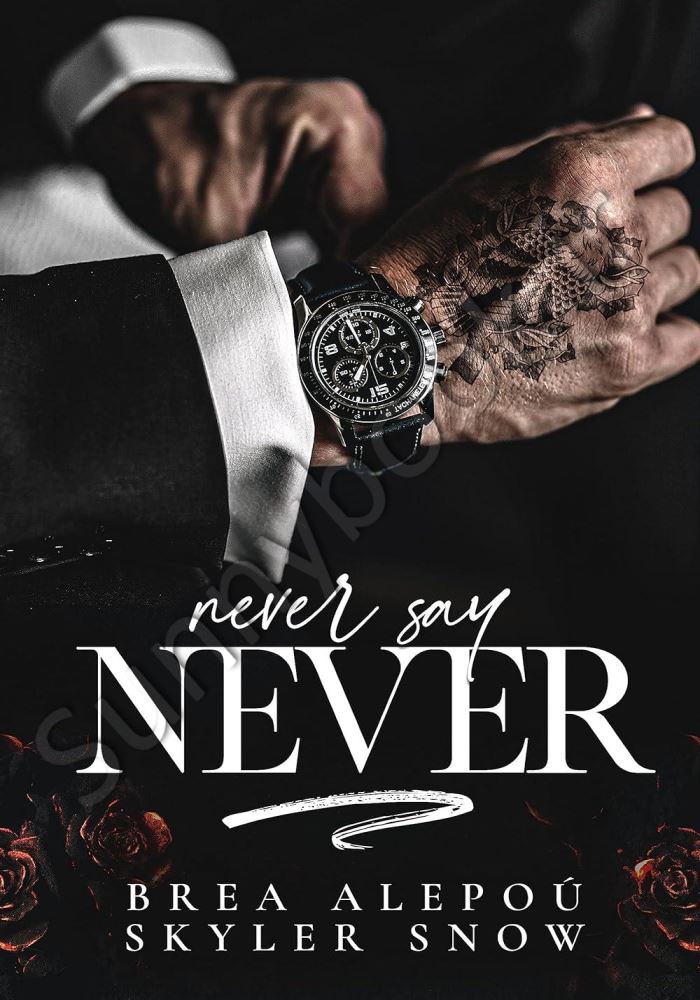 Never Say Never (Vitale Brothers 4) main 1 1