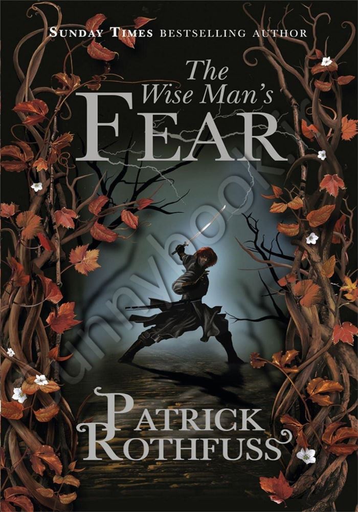 The Wise Mans Fear (The Kingkiller Chronicle Book 2) main 1 1