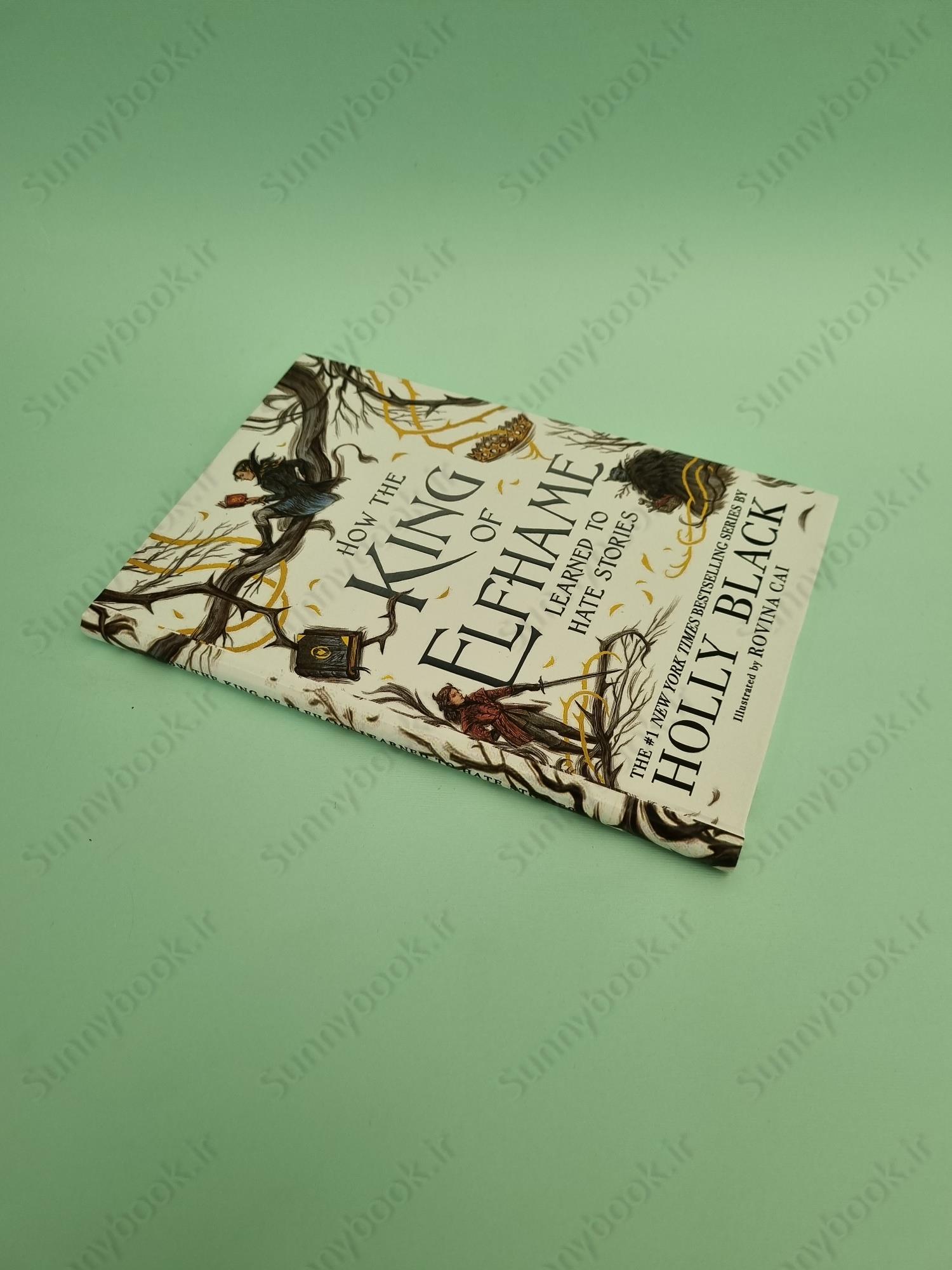 How the King of Elfhame Learned to Hate Stories (The Folk of the Air 3.5) main 1 3