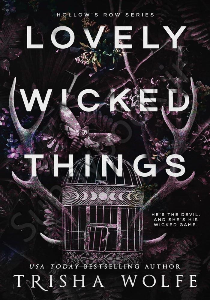 Lovely Wicked Things (Hollow's Row Book 3) main 1 1