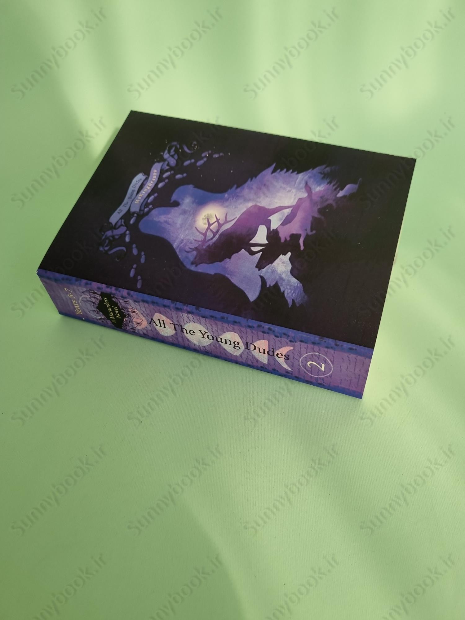 All the Young Dudes - Volume Two: Years 5 - 7 main 1 3