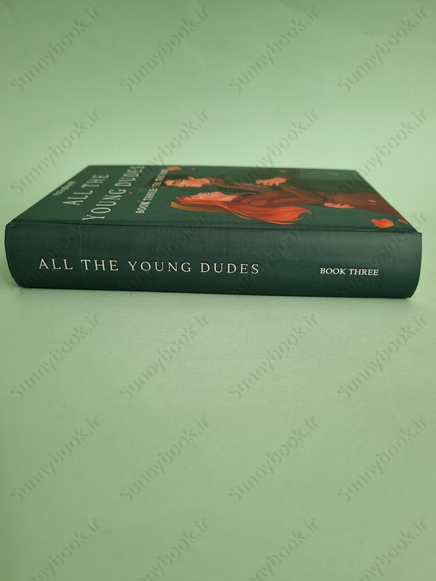 All The Young Dudes - Volume Three: ‘Til the End main 1 5