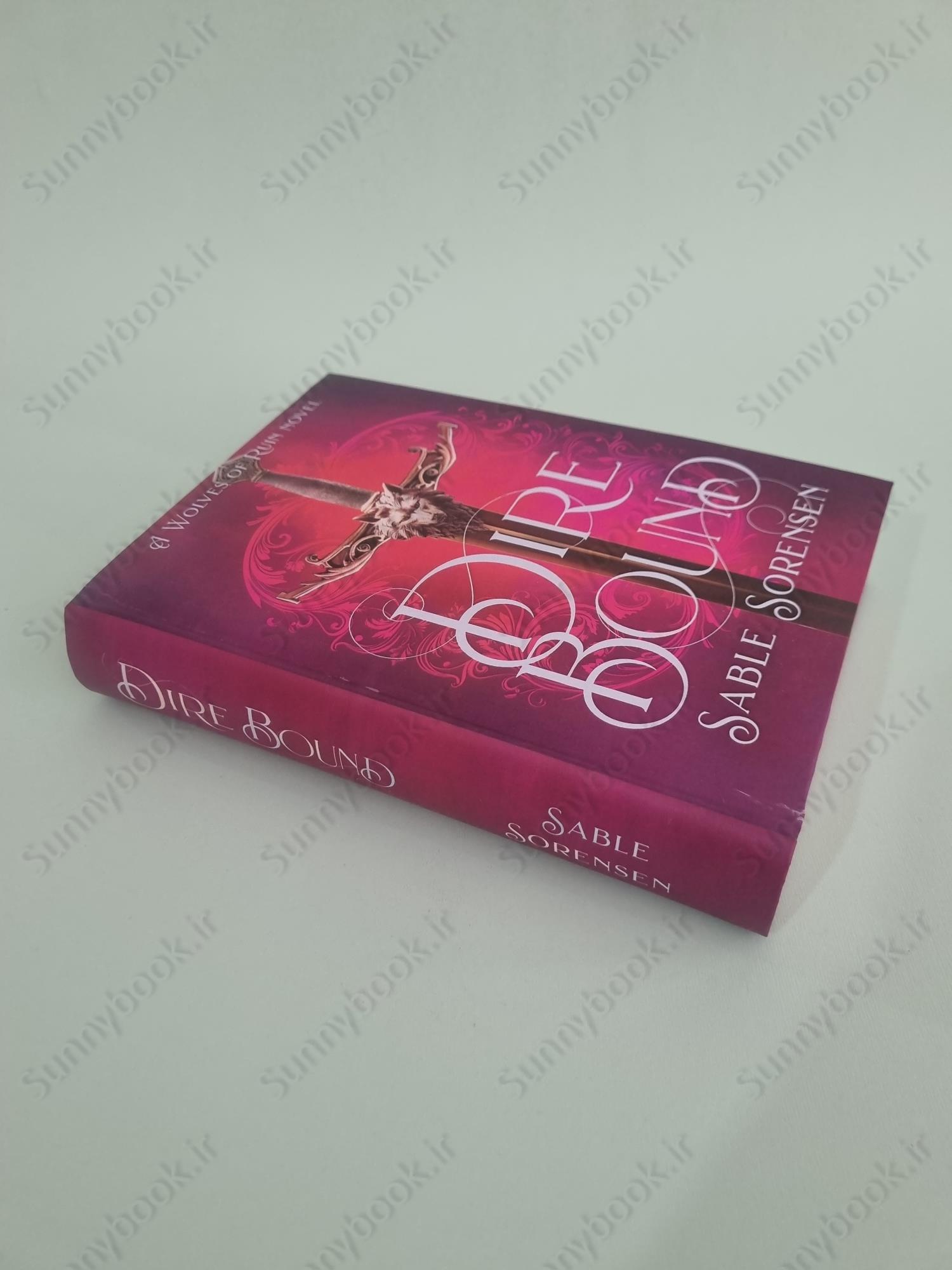 Direbound: A Dark Romantasy (The Wolves of Ruin Book 1) main 1 3