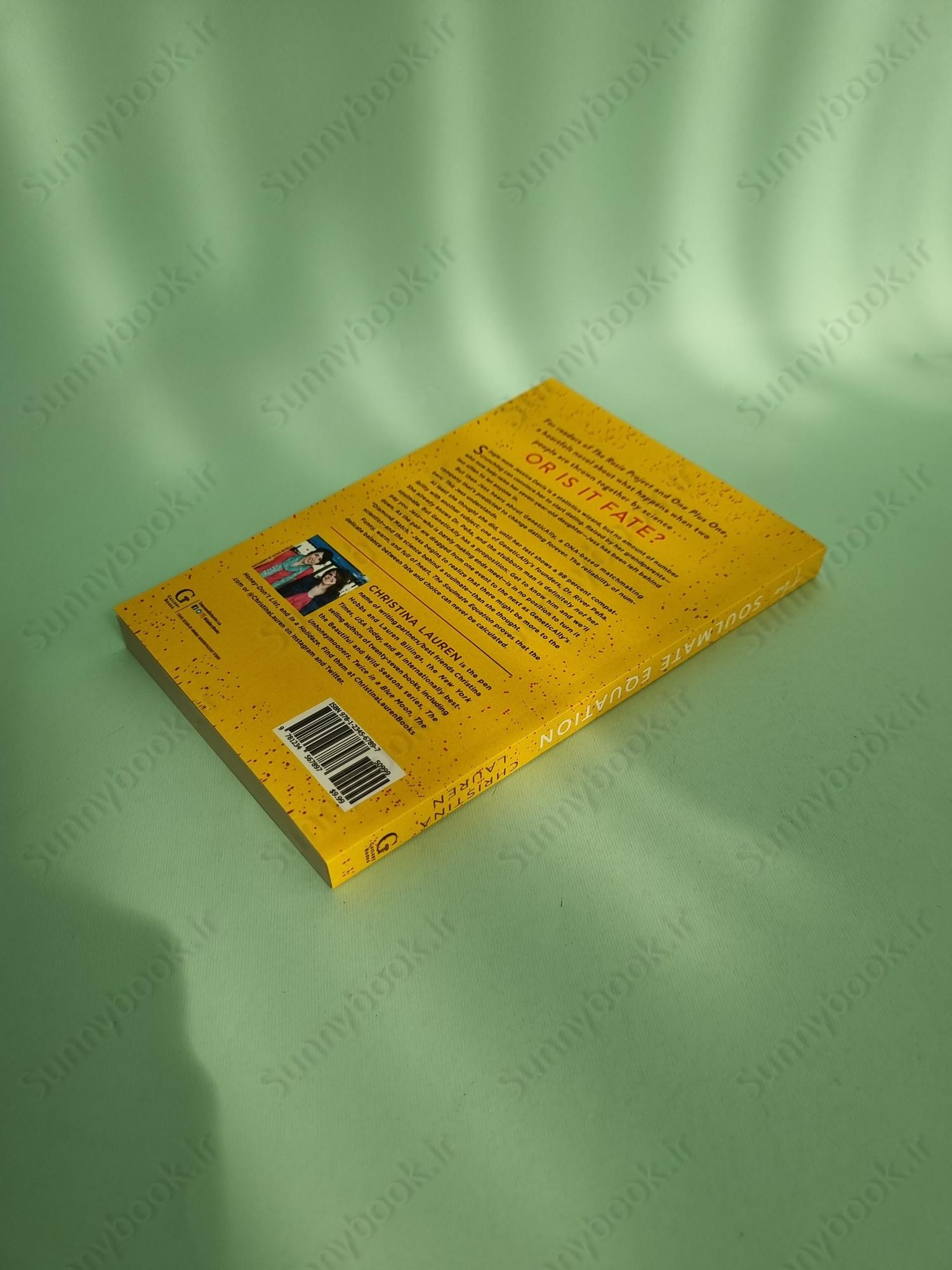 The Soulmate Equation main 1 5