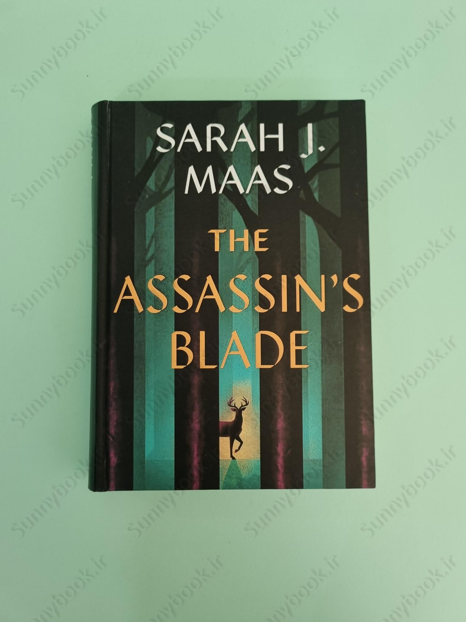 The Assassin's Blade: The Throne of Glass Prequel Novellas (Throne of Glass, 8) main 1 2