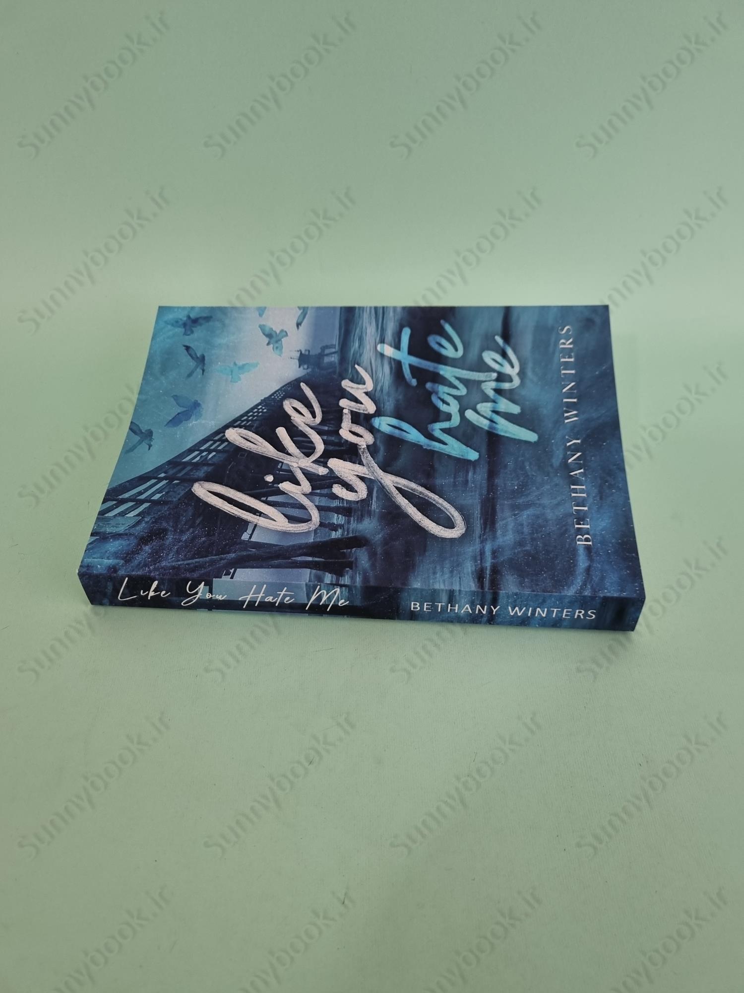 Like You Hate Me main 1 4