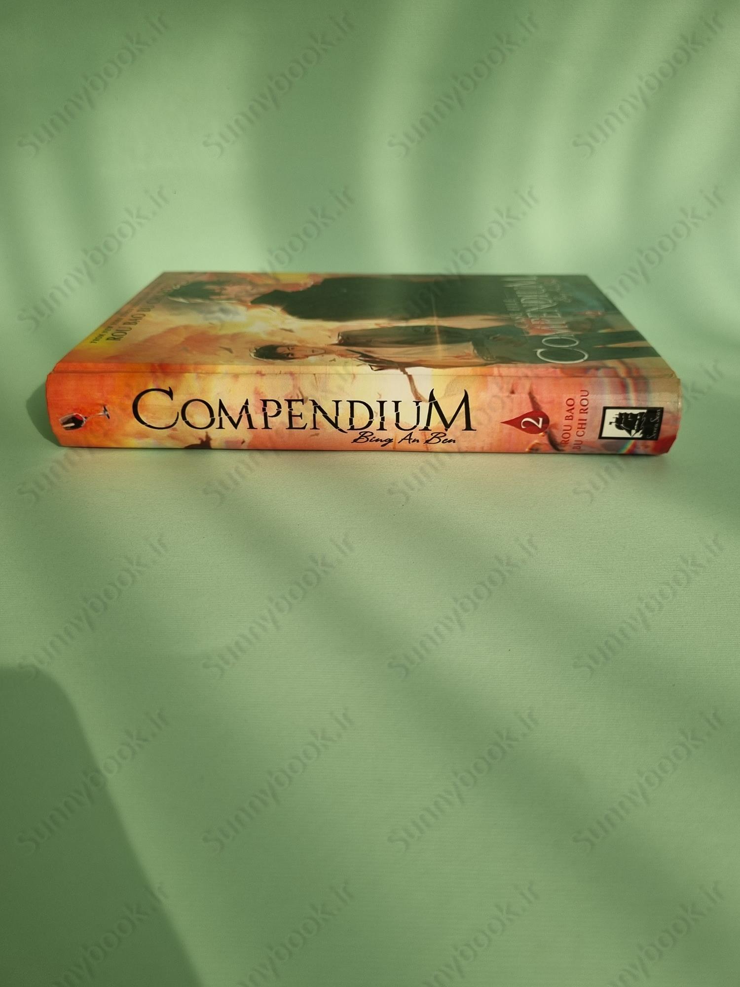 Case File Compendium: Bing An Ben (Novel) Vol. 2 main 1 4