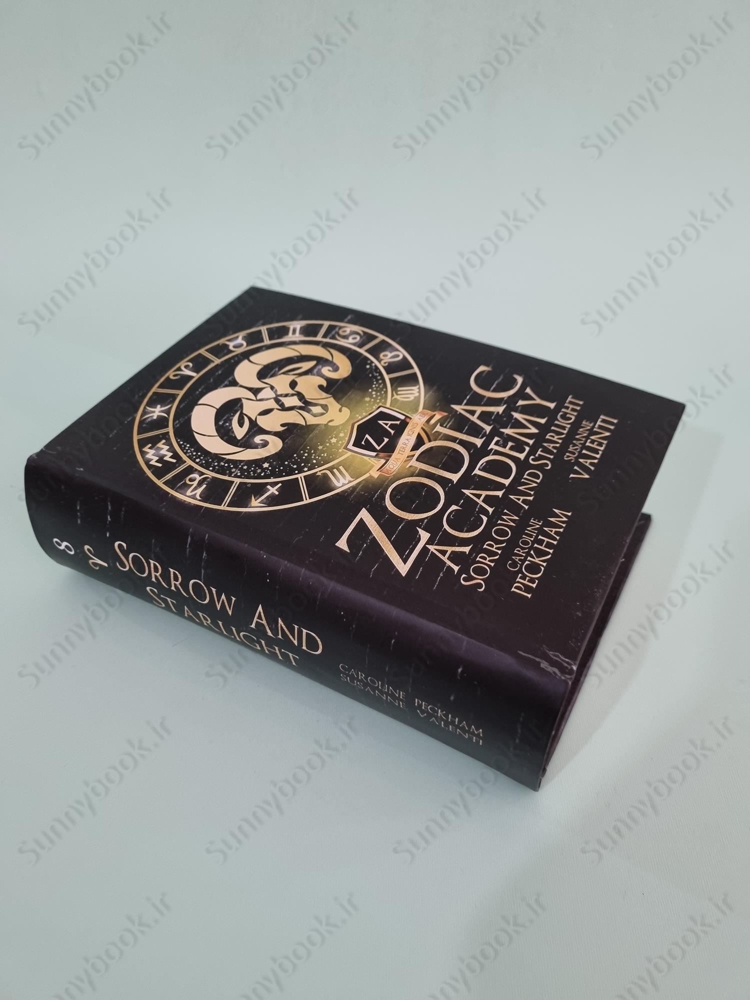 Zodiac Academy 8: Sorrow and Starlight main 1 3