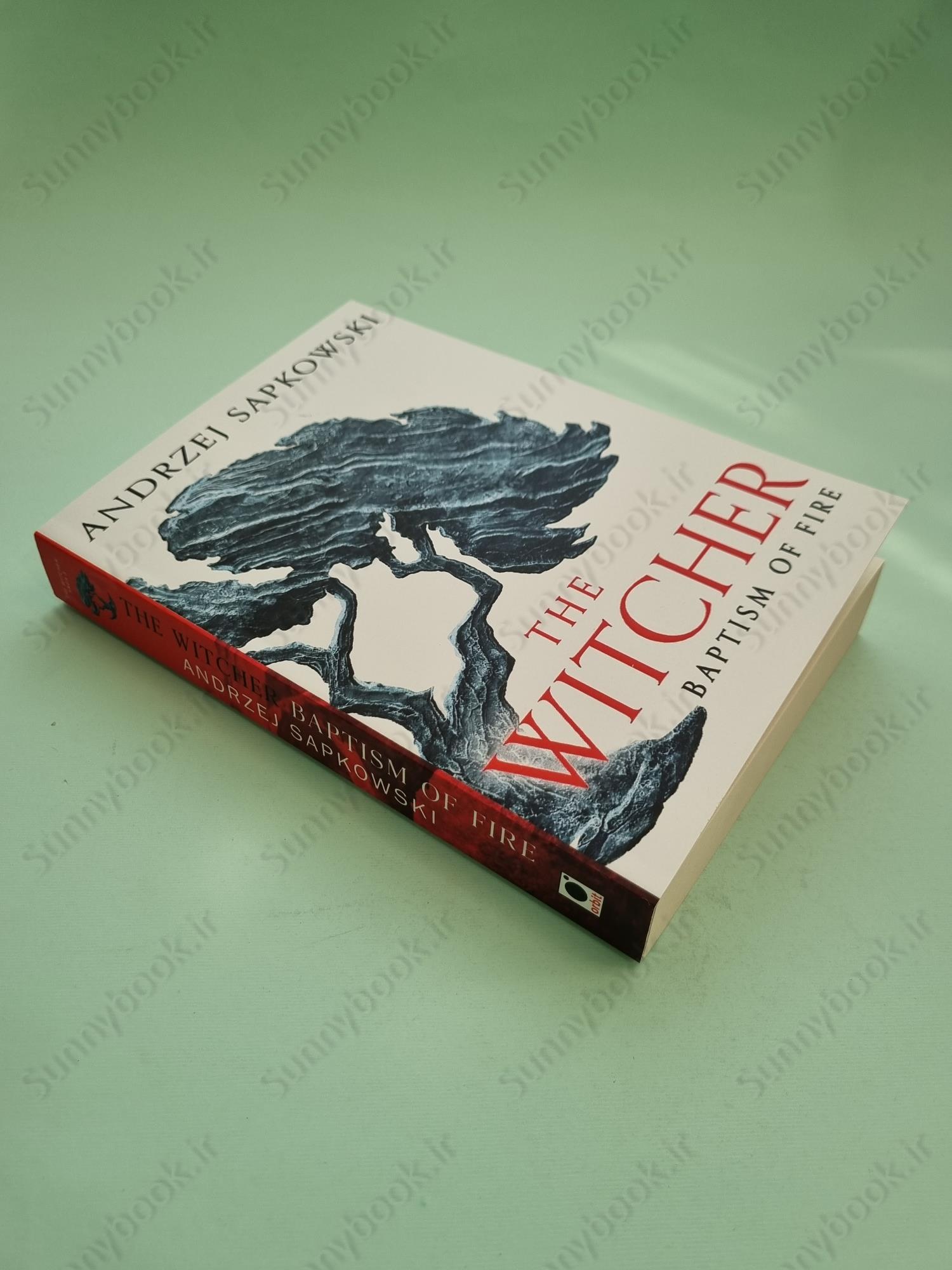 Baptism of Fire (The Witcher, 5) main 1 3