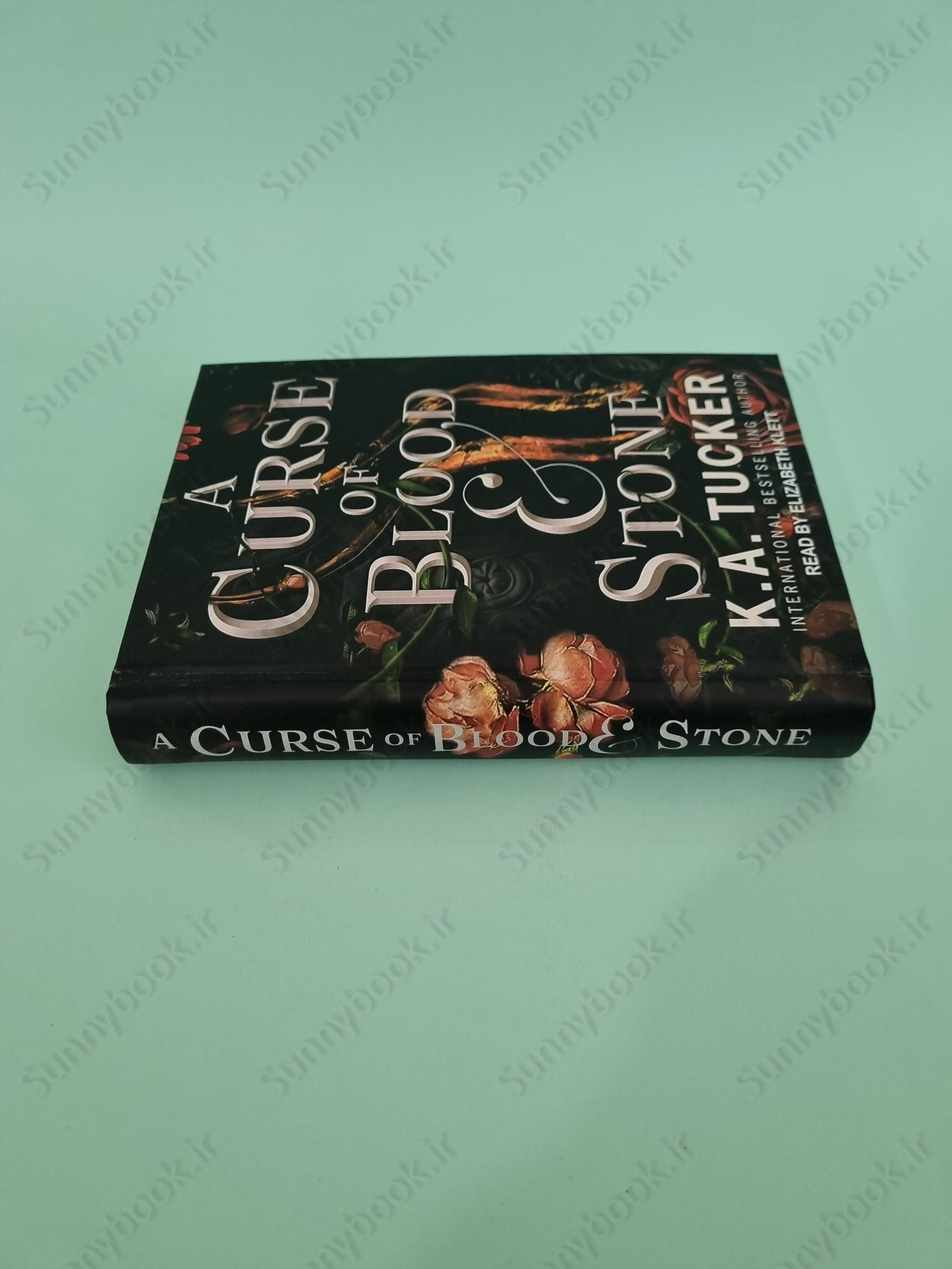 A Curse of Blood & Stone (Fate & Flame 2) main 1 4