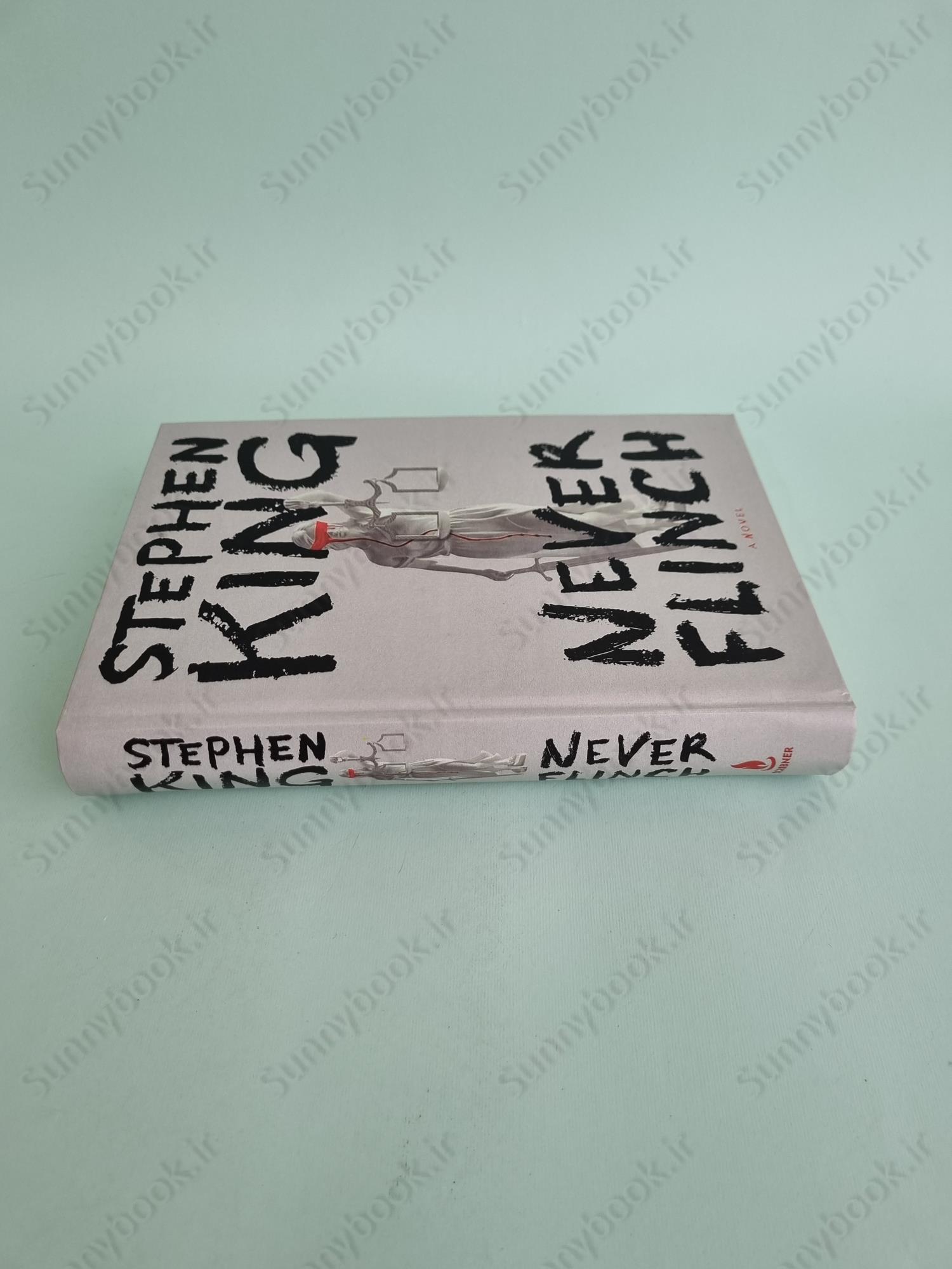 Never Flinch (Holly Gibney 4) main 1 4