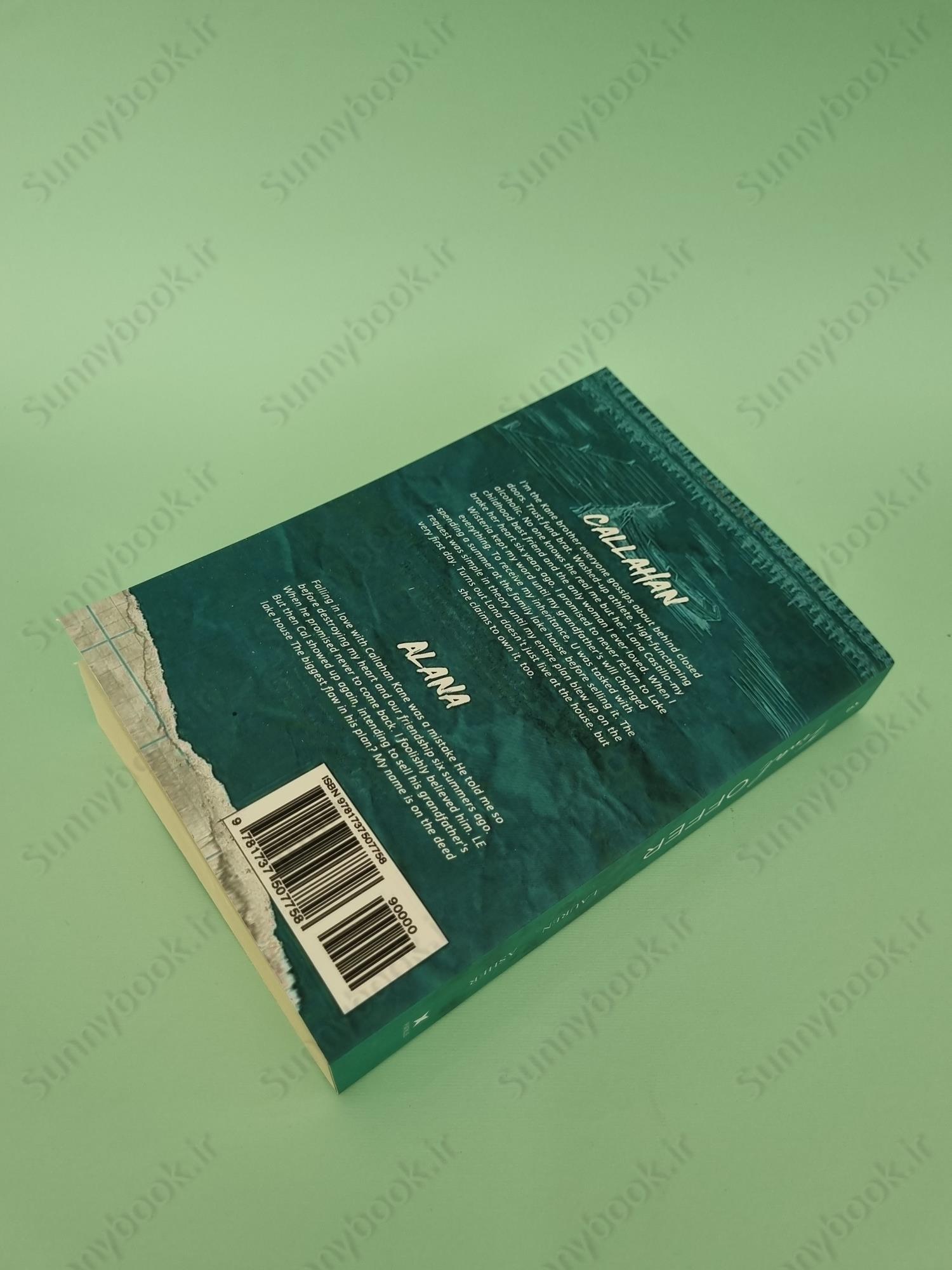 Final Offer (Dreamland Billionaires, 3) main 1 6