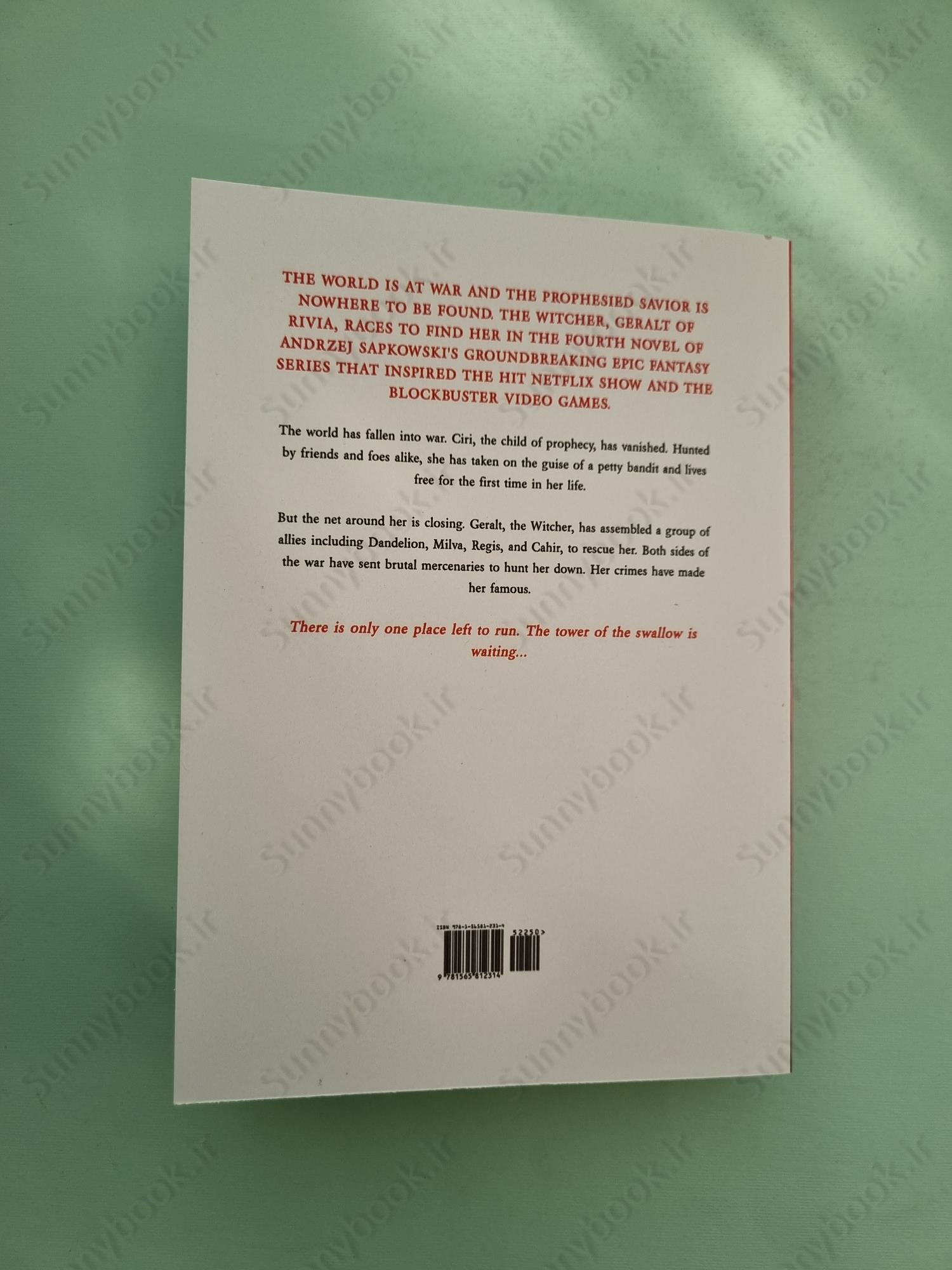 The Tower of Swallows (The Witcher, 6) main 1 5