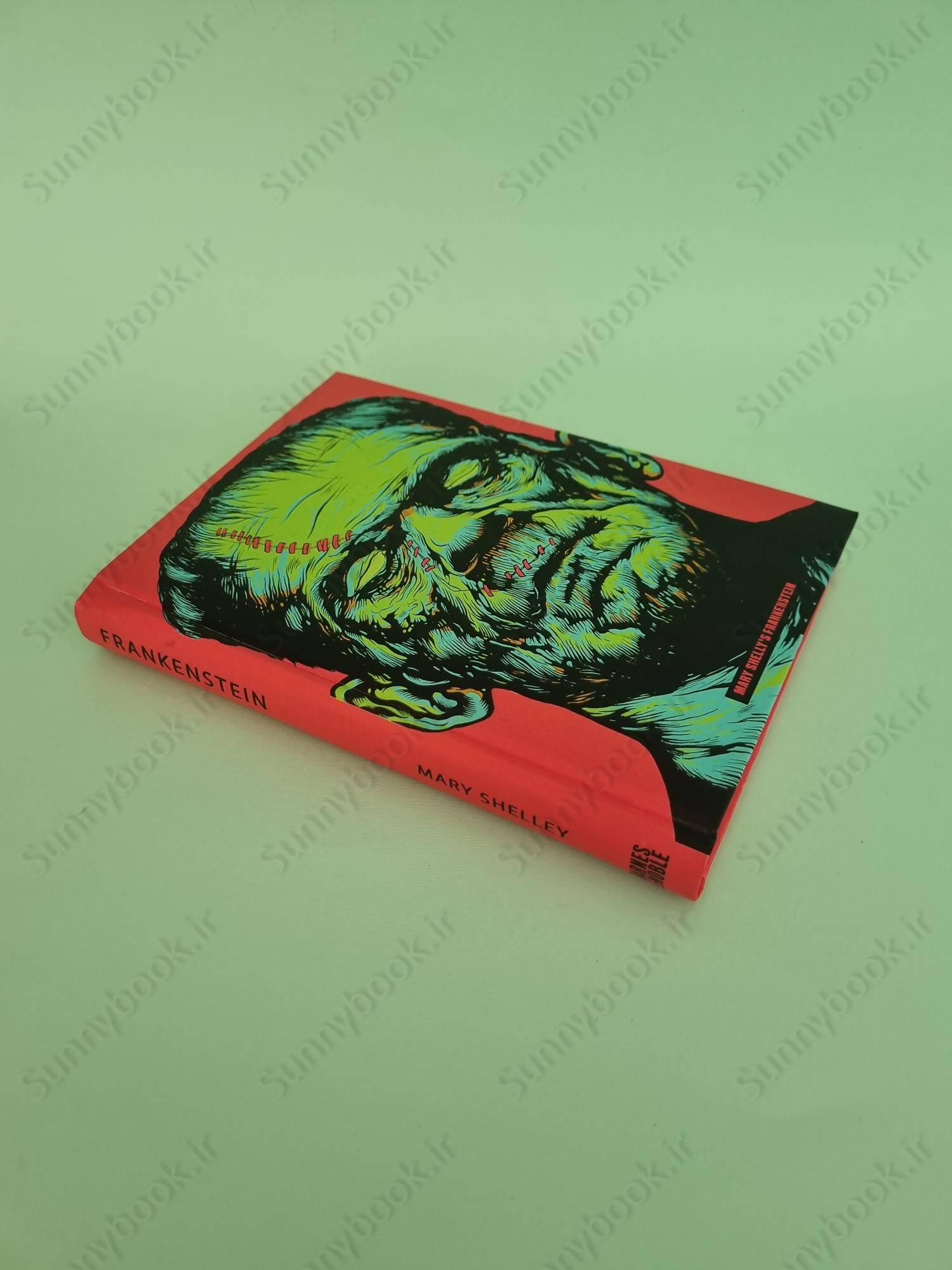 Frankenstein main 1 3