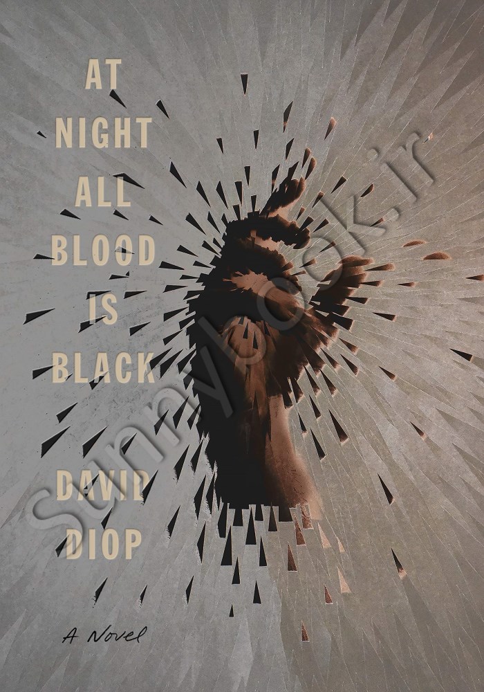 At Night All Blood is Black main 1 1