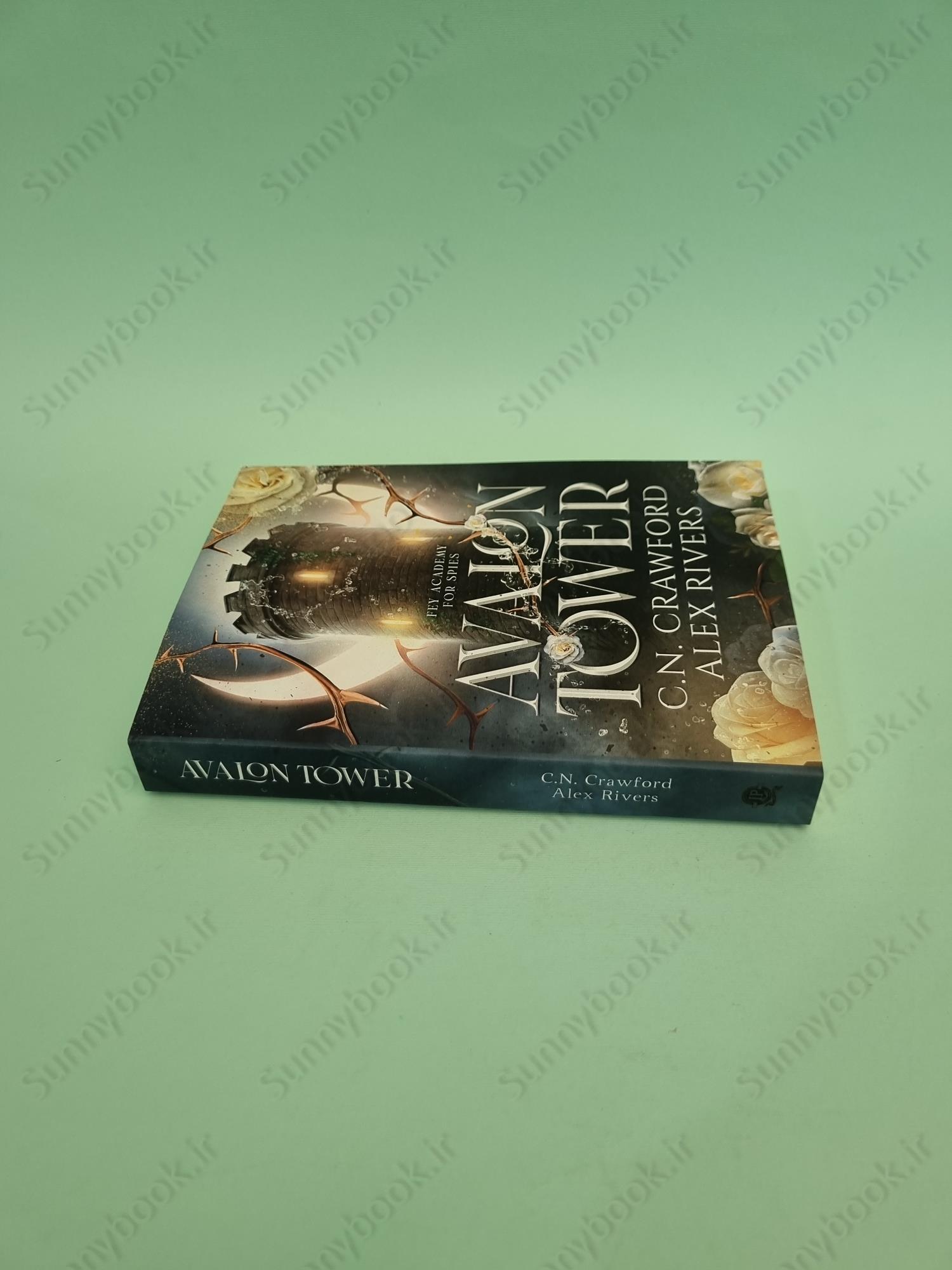 Avalon Tower (Fey Spy Academy Book 1) main 1 4