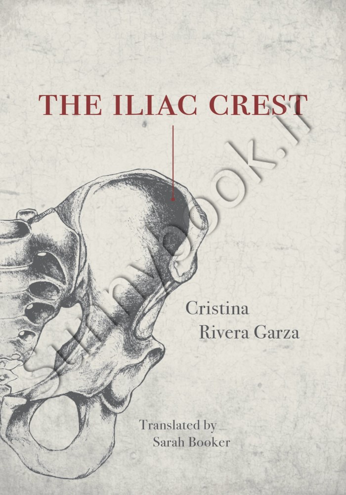 The Iliac Crest main 1 1