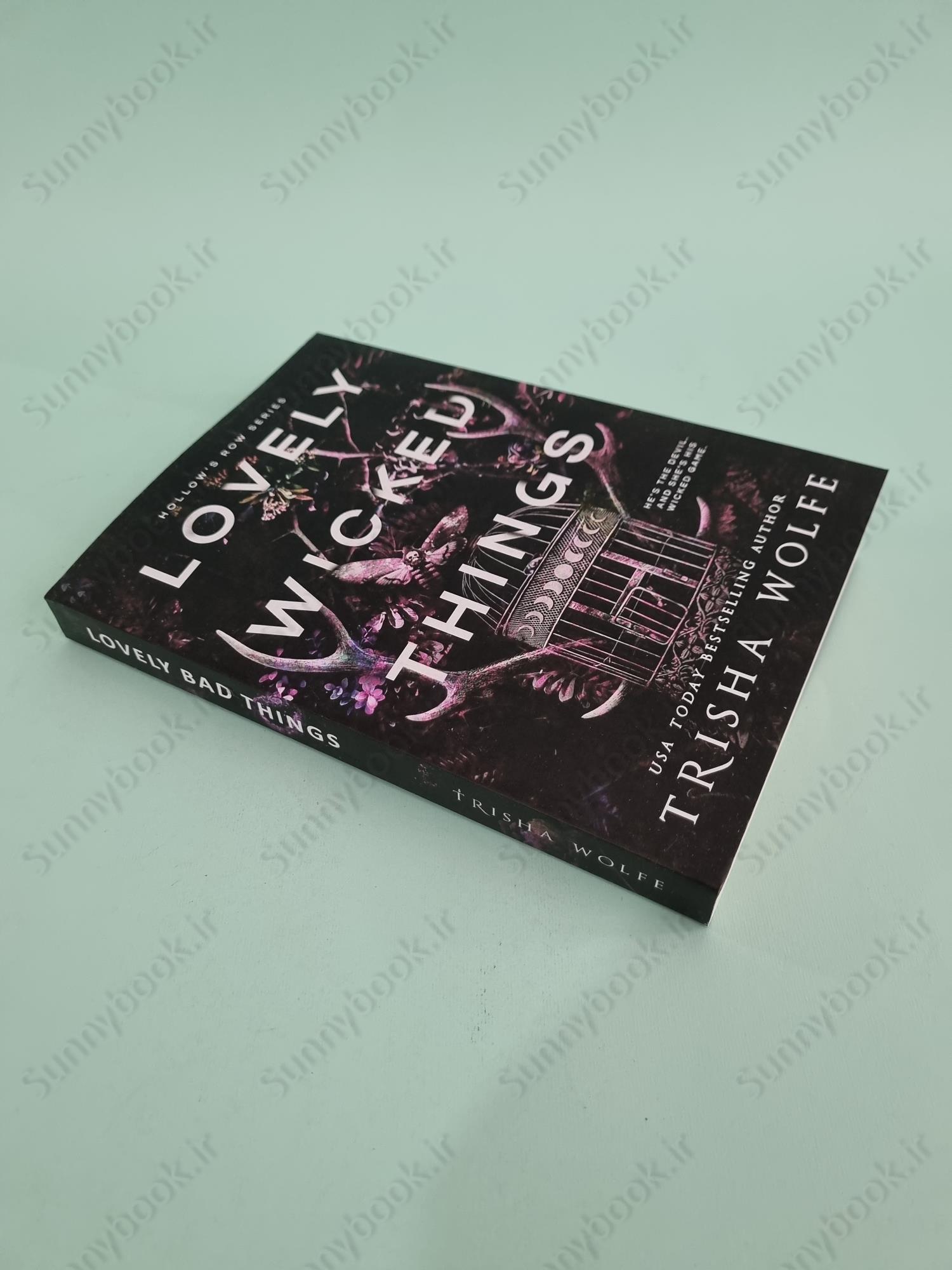 Lovely Wicked Things (Hollow's Row Book 3) main 1 3