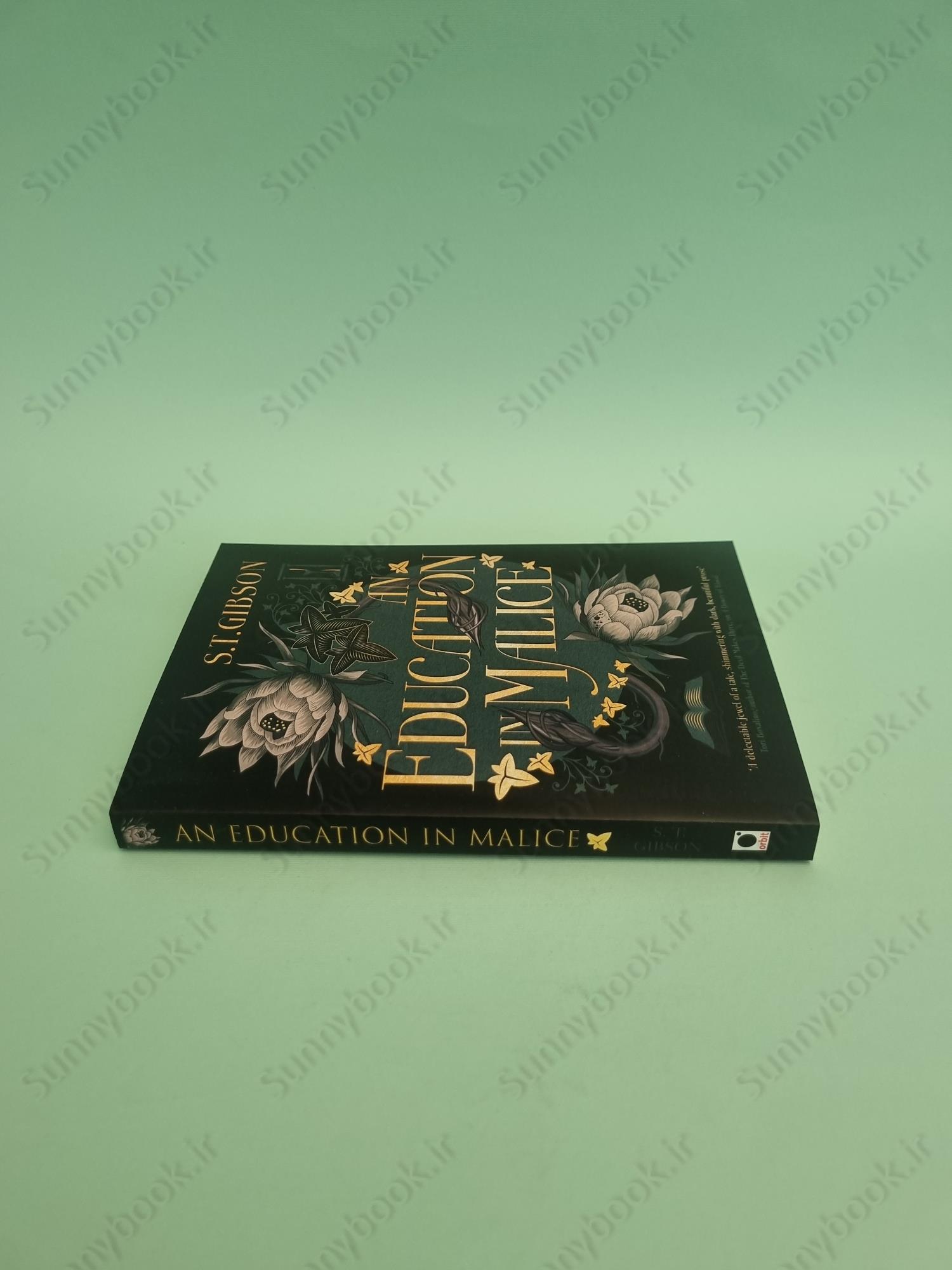 An Education in Malice main 1 4