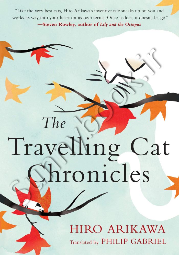 The Travelling Cat Chronicles main 1 1