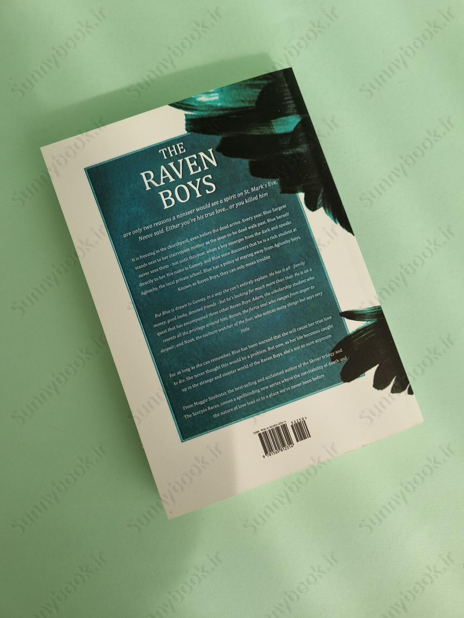 The Raven Boys (The Raven Cycle 1) main 1 4