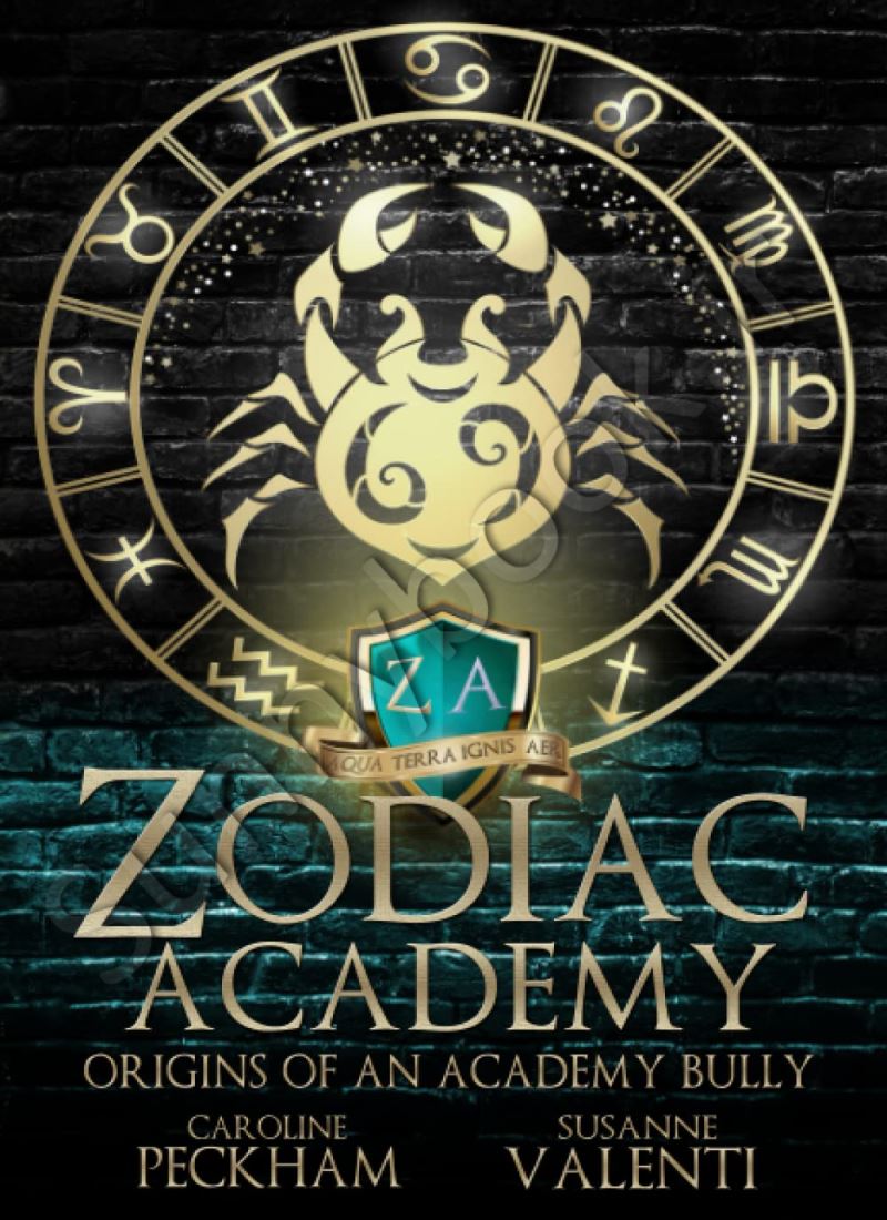 Zodiac Academy 0.5: Origins of an Academy Bully main 1 1