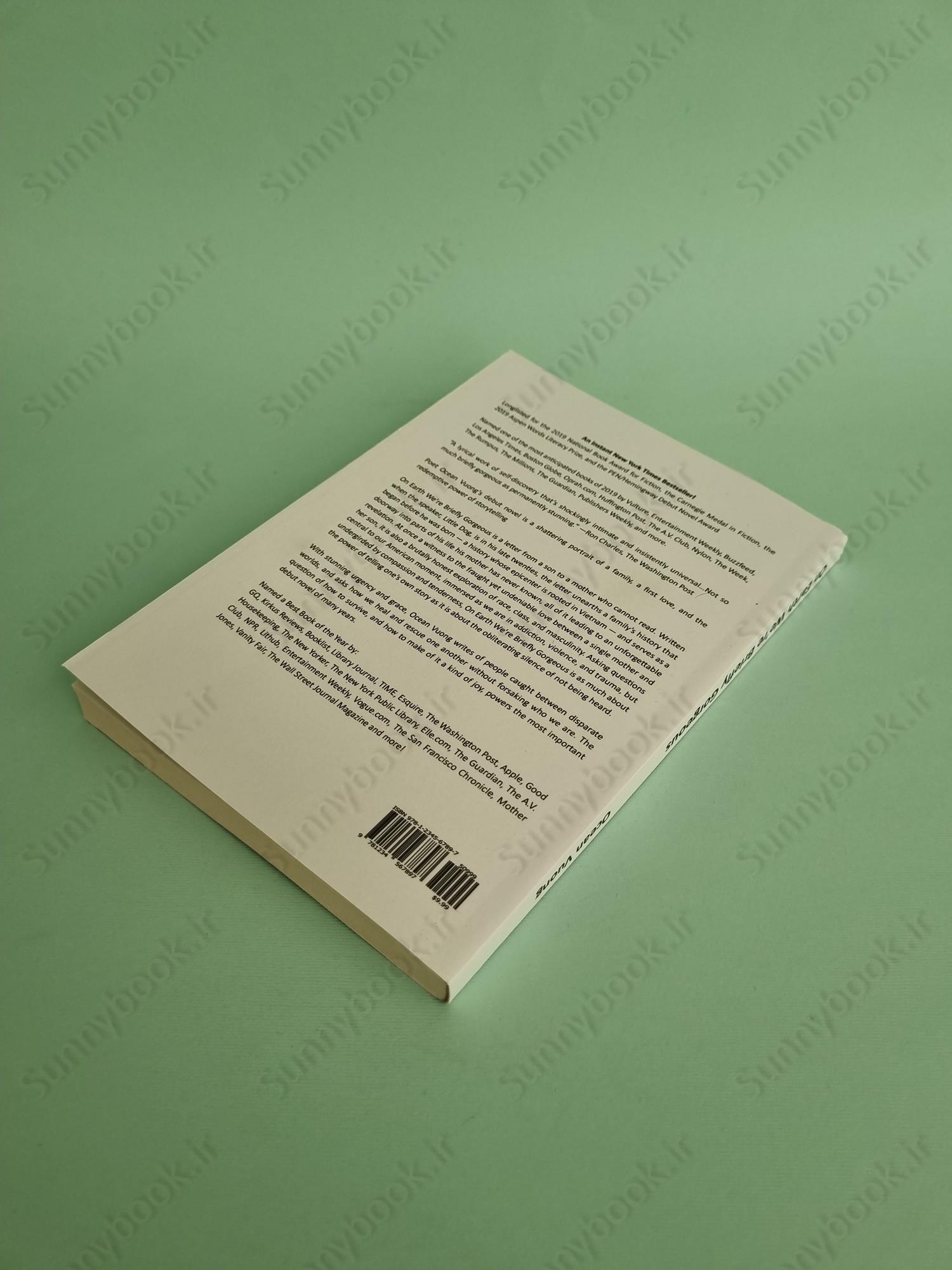 On Earth We're Briefly Gorgeous main 1 4