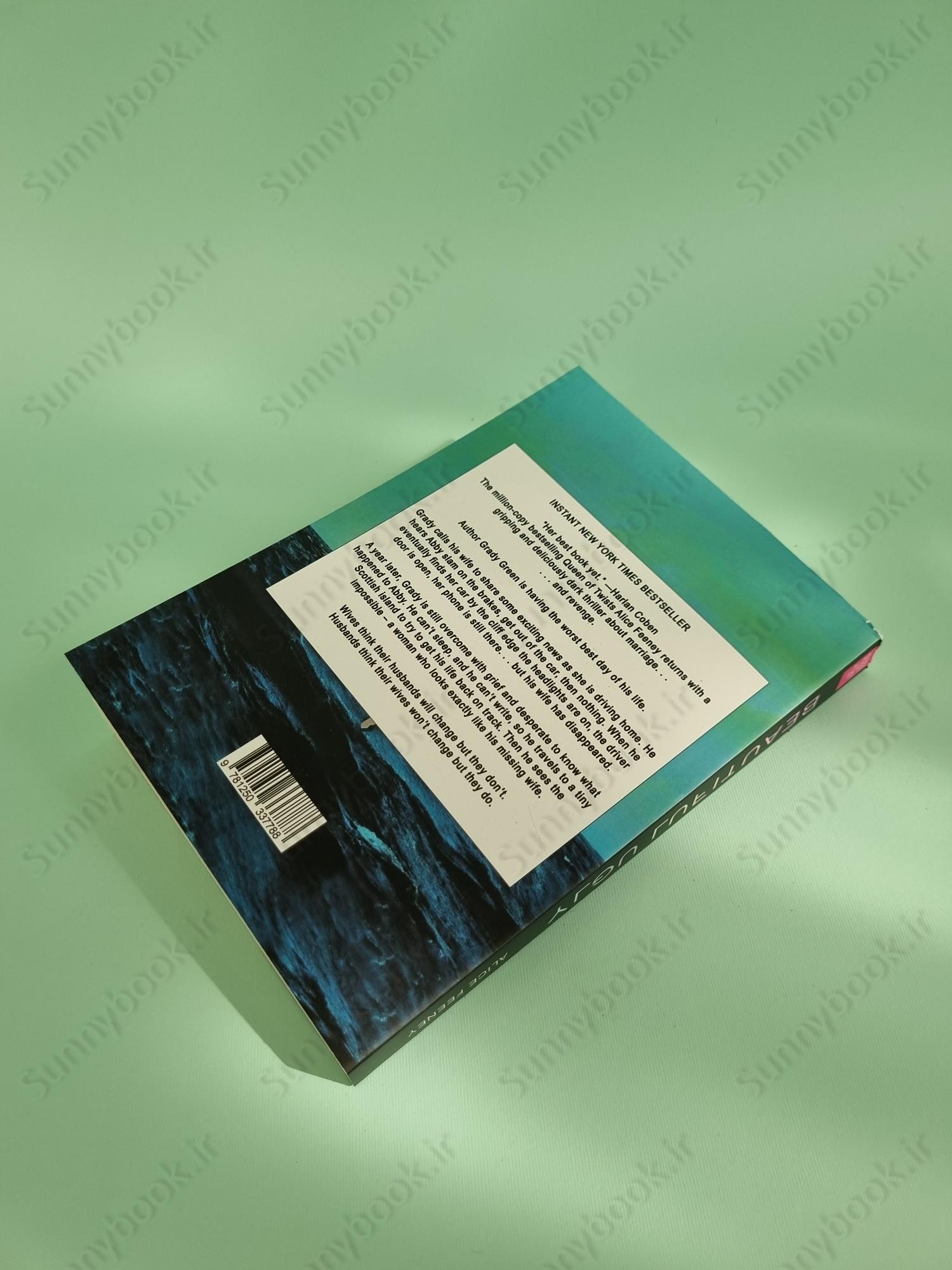 Beautiful Ugly main 1 4