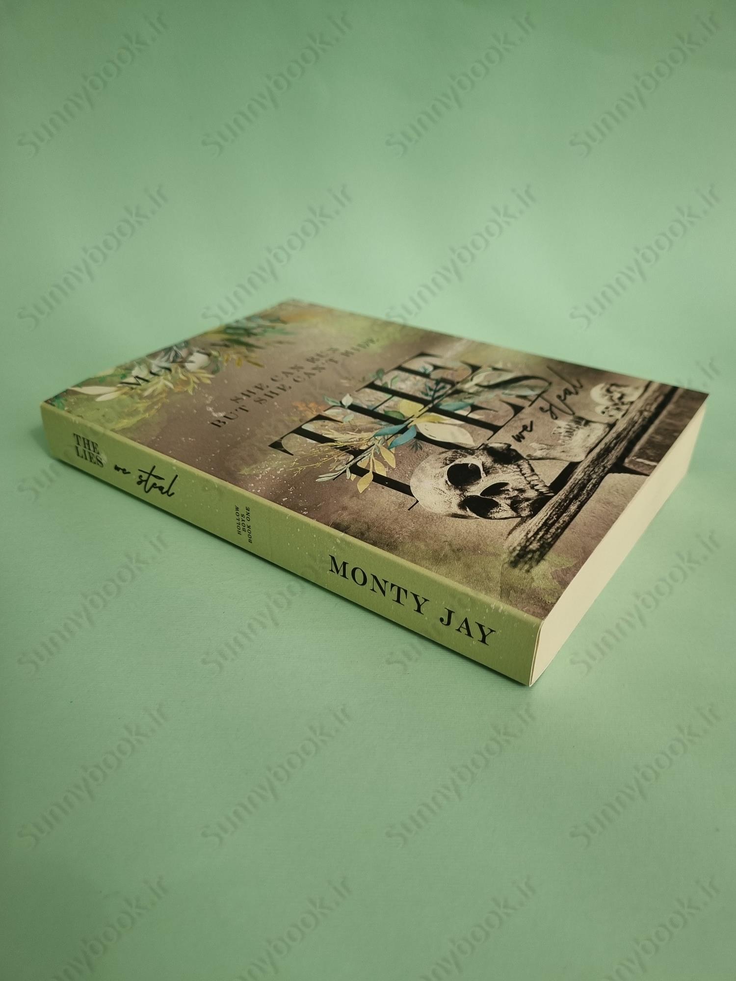 The Lies we Steal (The Hollow Boys Book 1) main 1 3