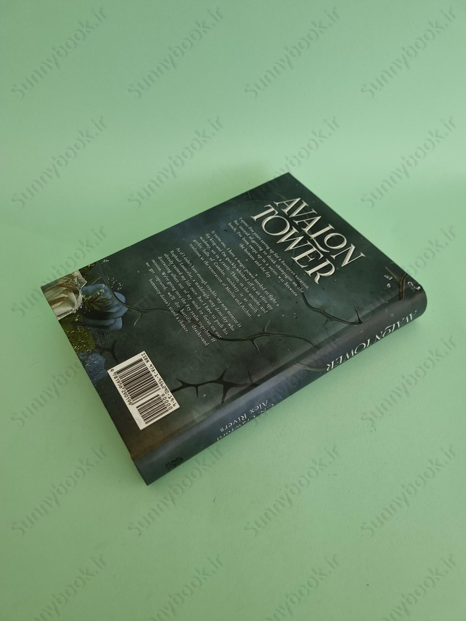 Avalon Tower (Fey Spy Academy Book 1) main 1 5