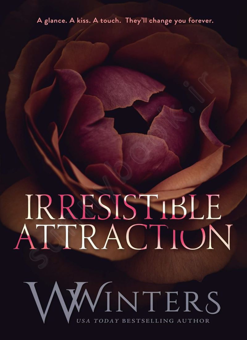 Irresistible Attraction (Merciless World Series Book 2) main 1 1
