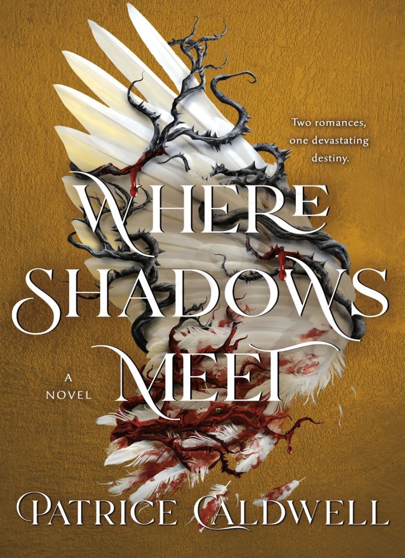 Where Shadows Meet Book 1 main 1 1