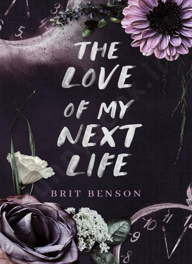The Love of My Next Life (Next Life 1) main 1 1