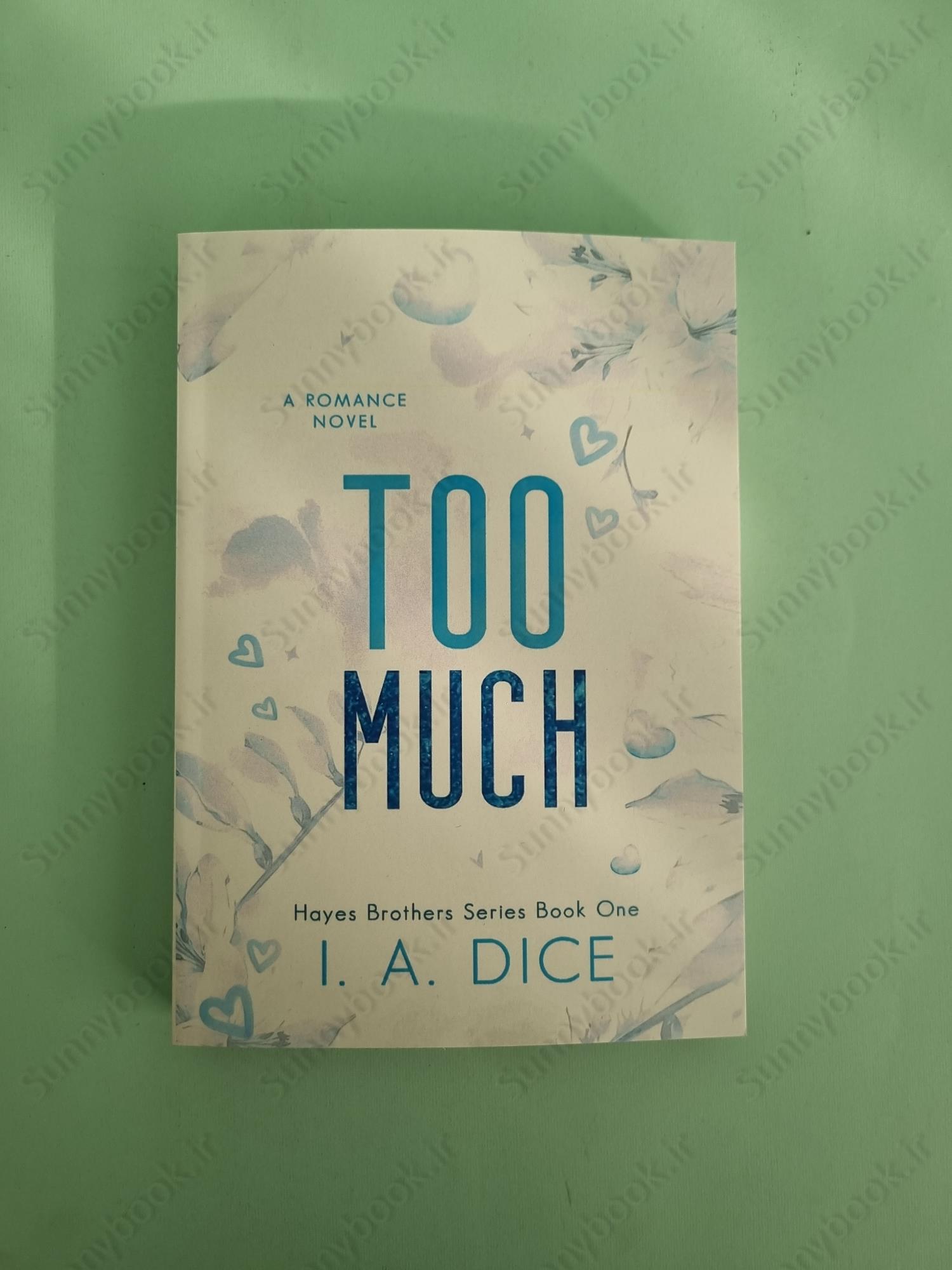 Too Much (Hayes Brothers Book 1) main 1 2